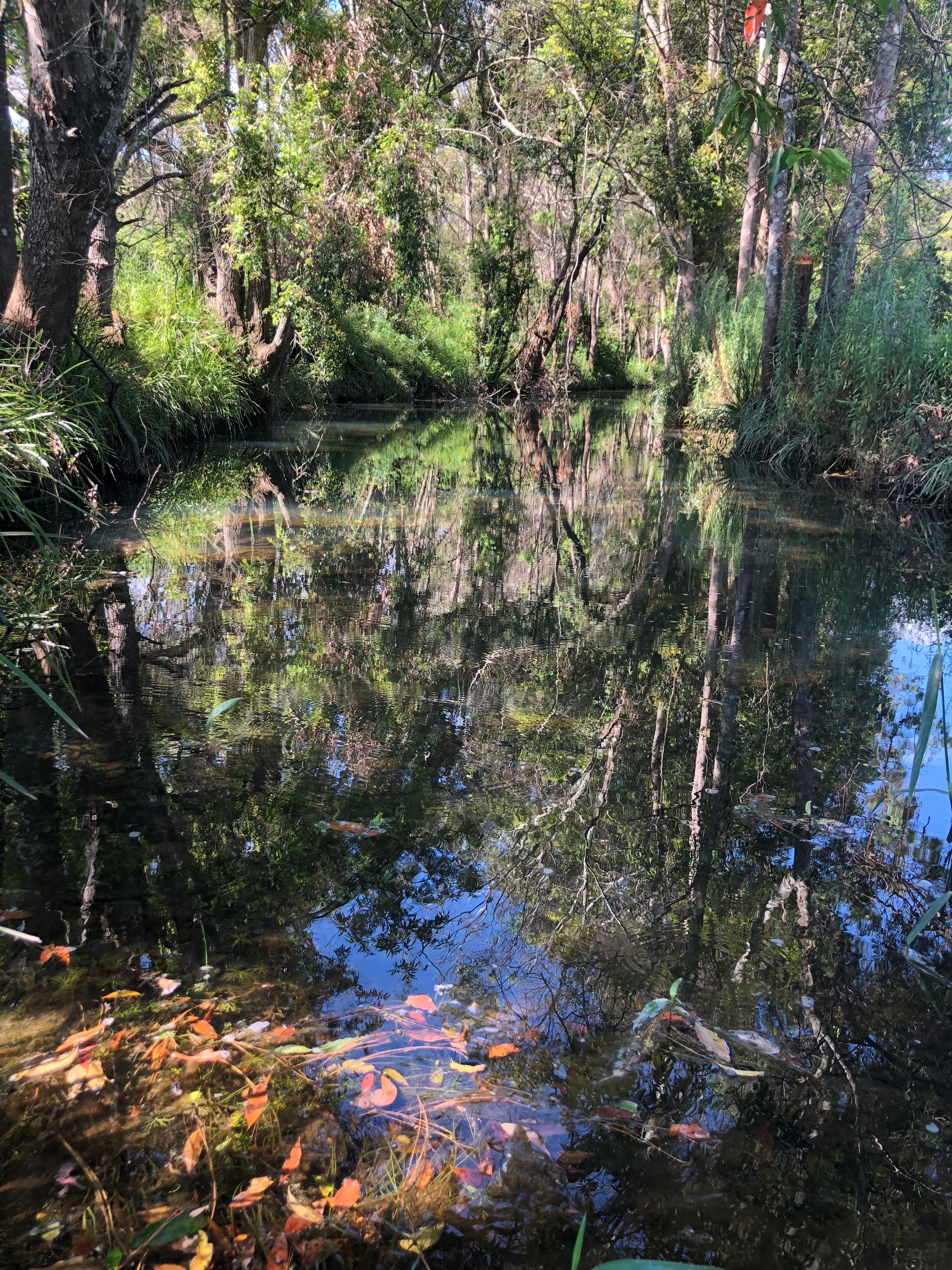 Critterland - Cabin & Camping