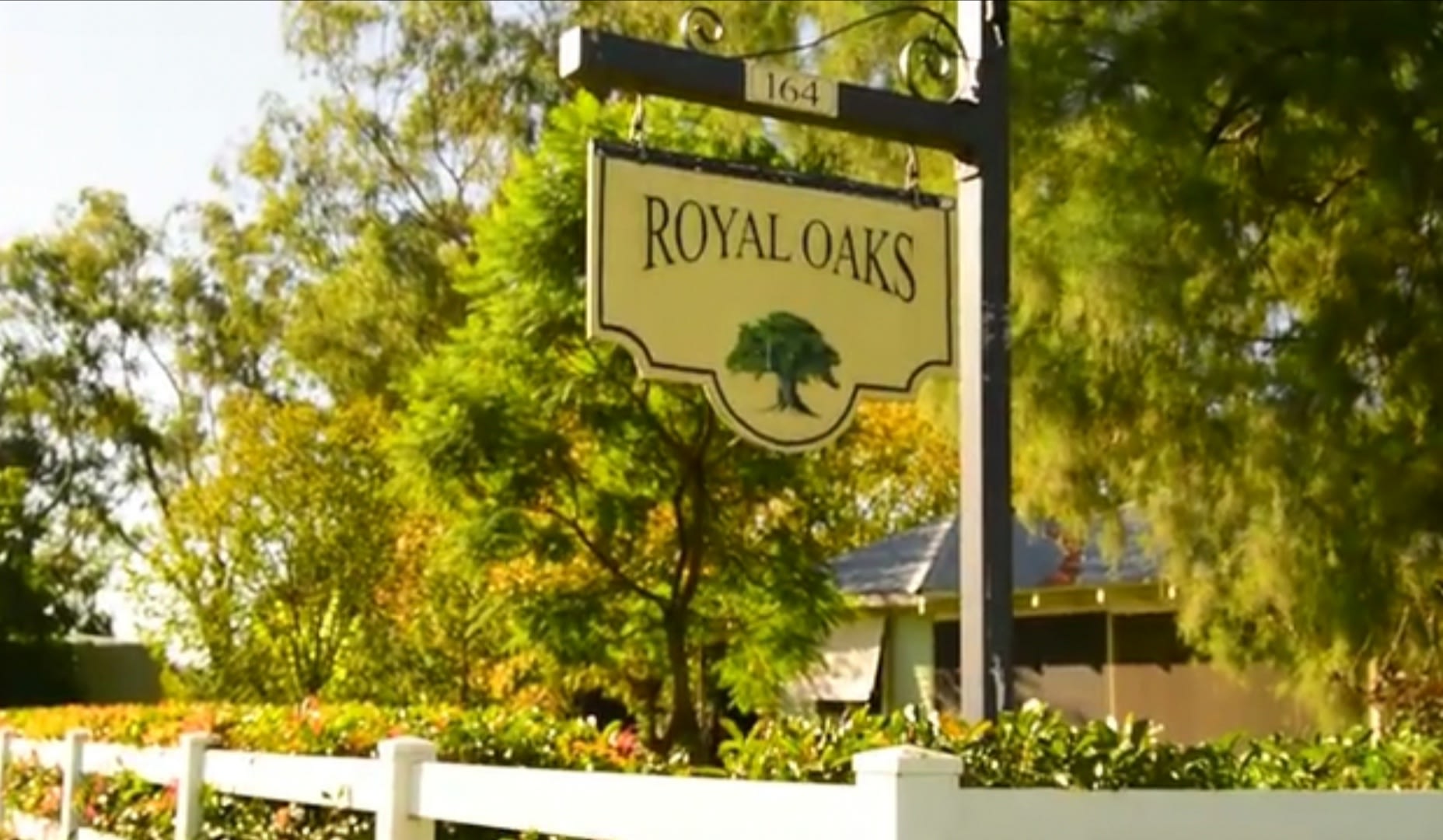 Our place "Royal Oaks" which we love to share with travellers