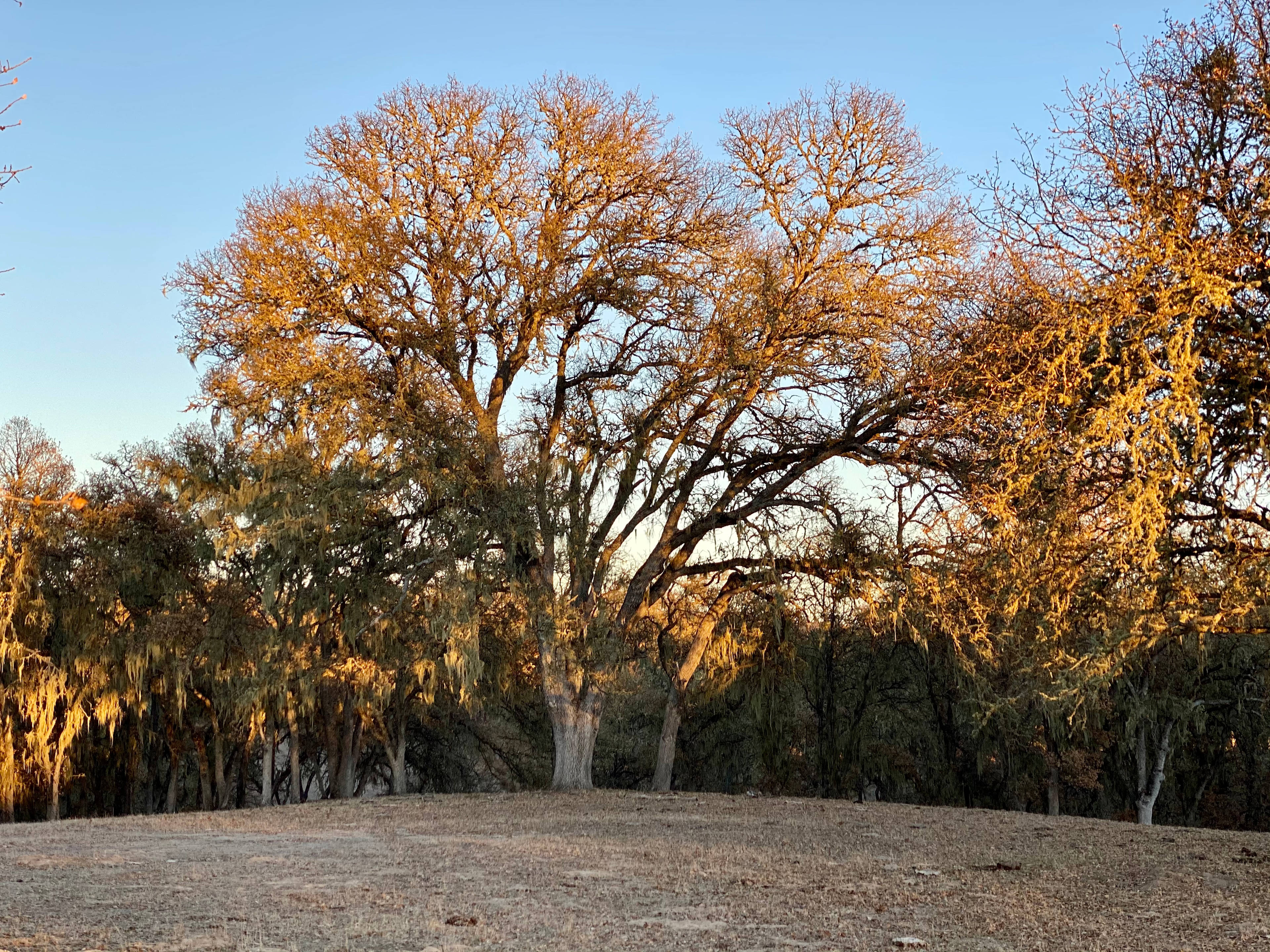 Smith Ranch