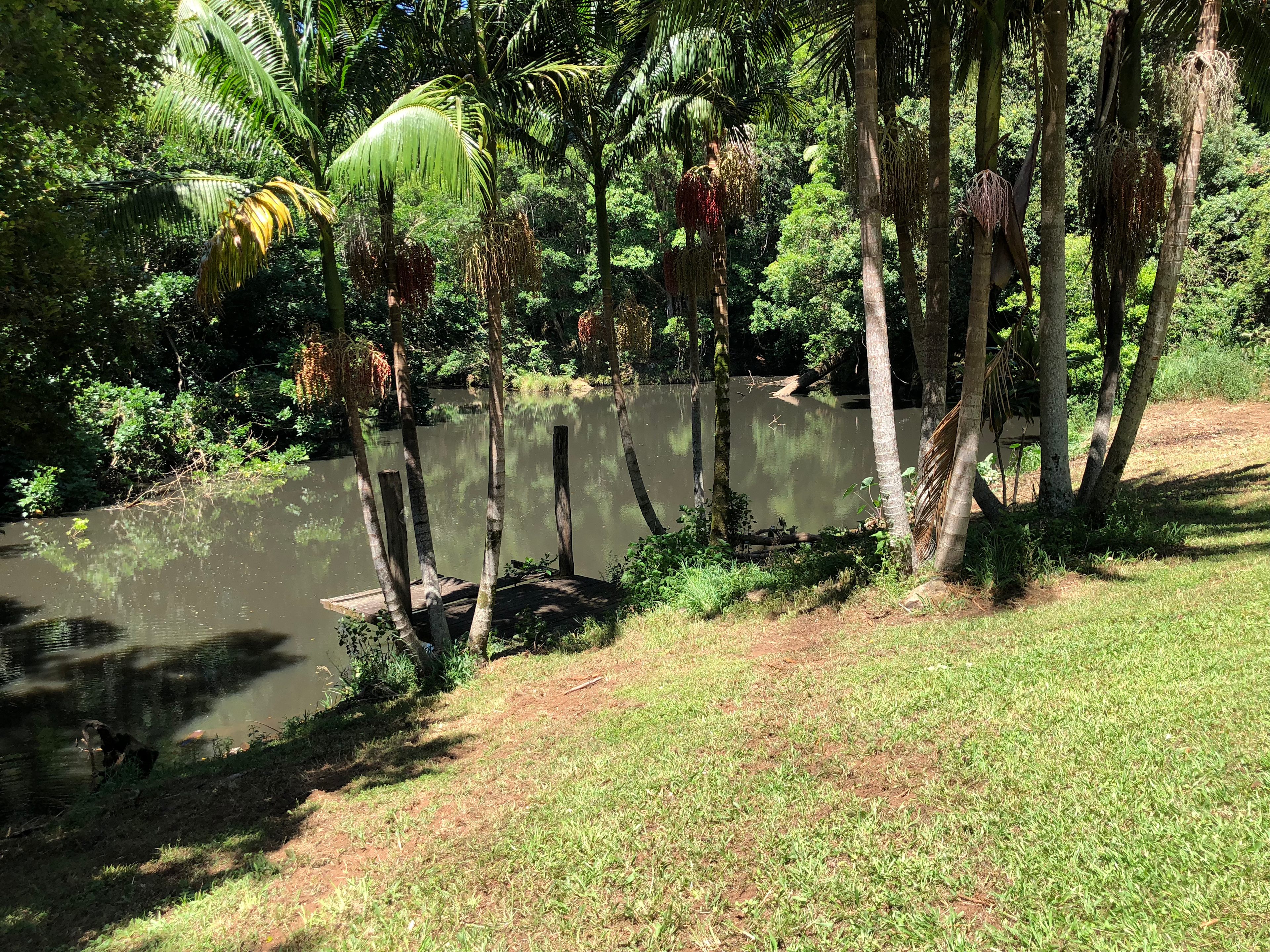 Anandaland: Land of Bliss