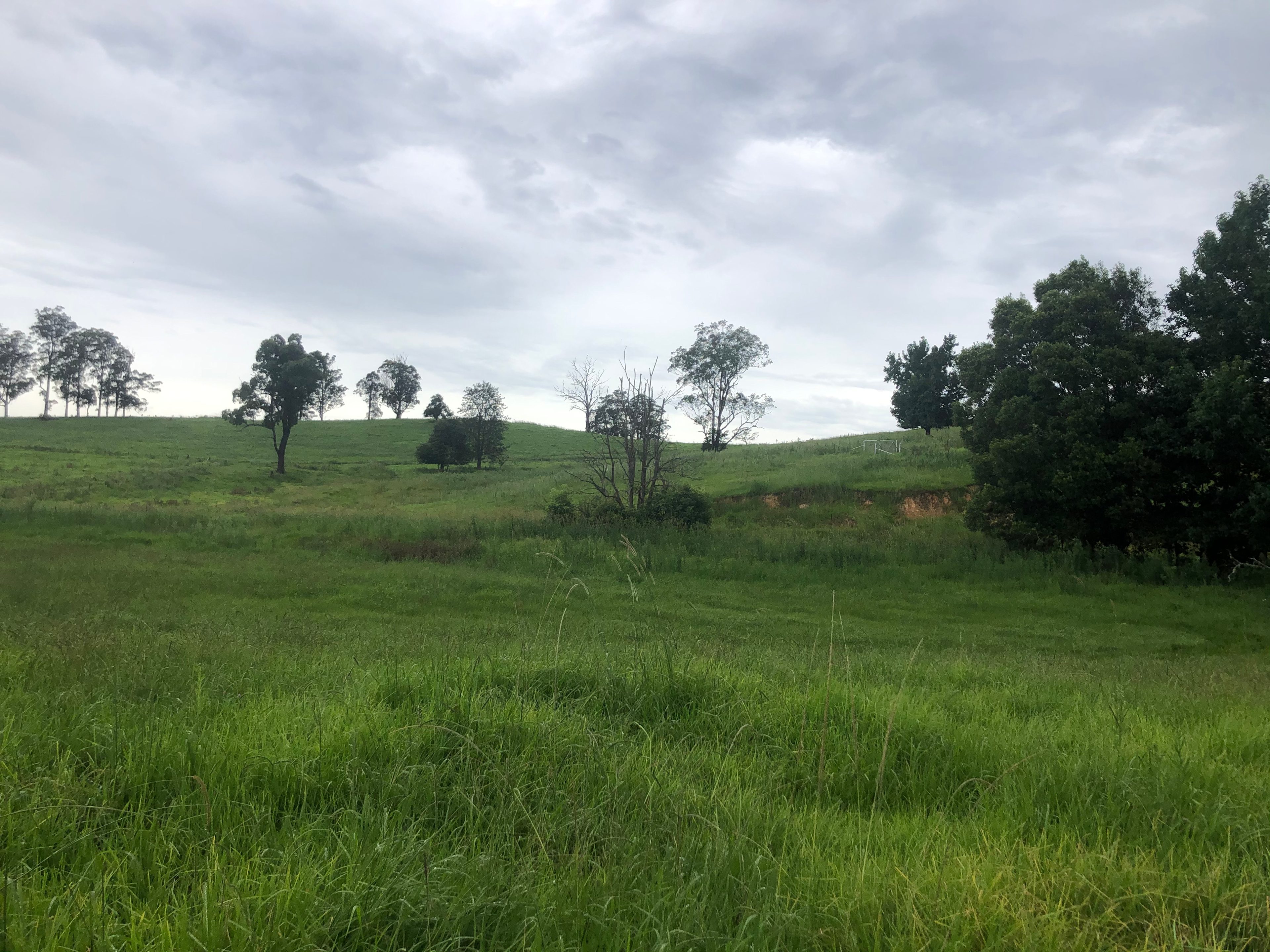 Levenvale Farm in Bellingen