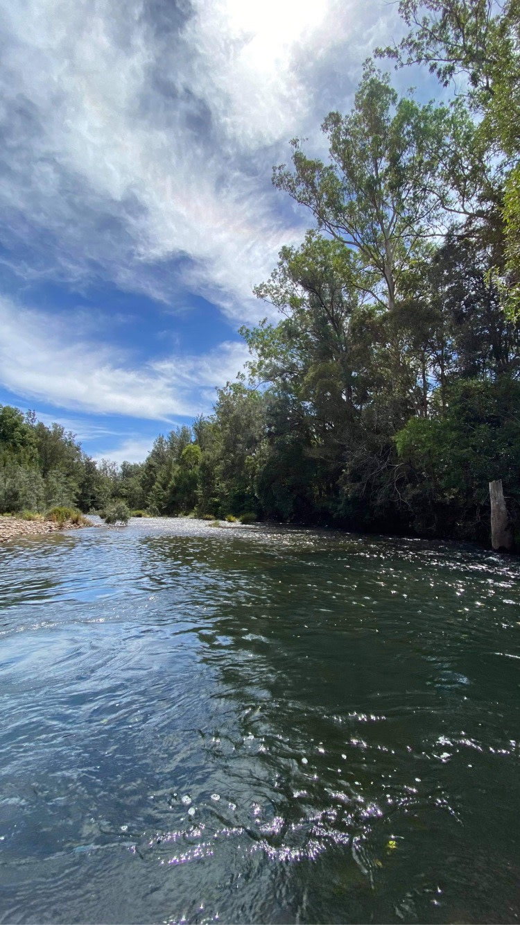 Avery's - our favourite swimming hole in the nearby and very beautiful Wilson River