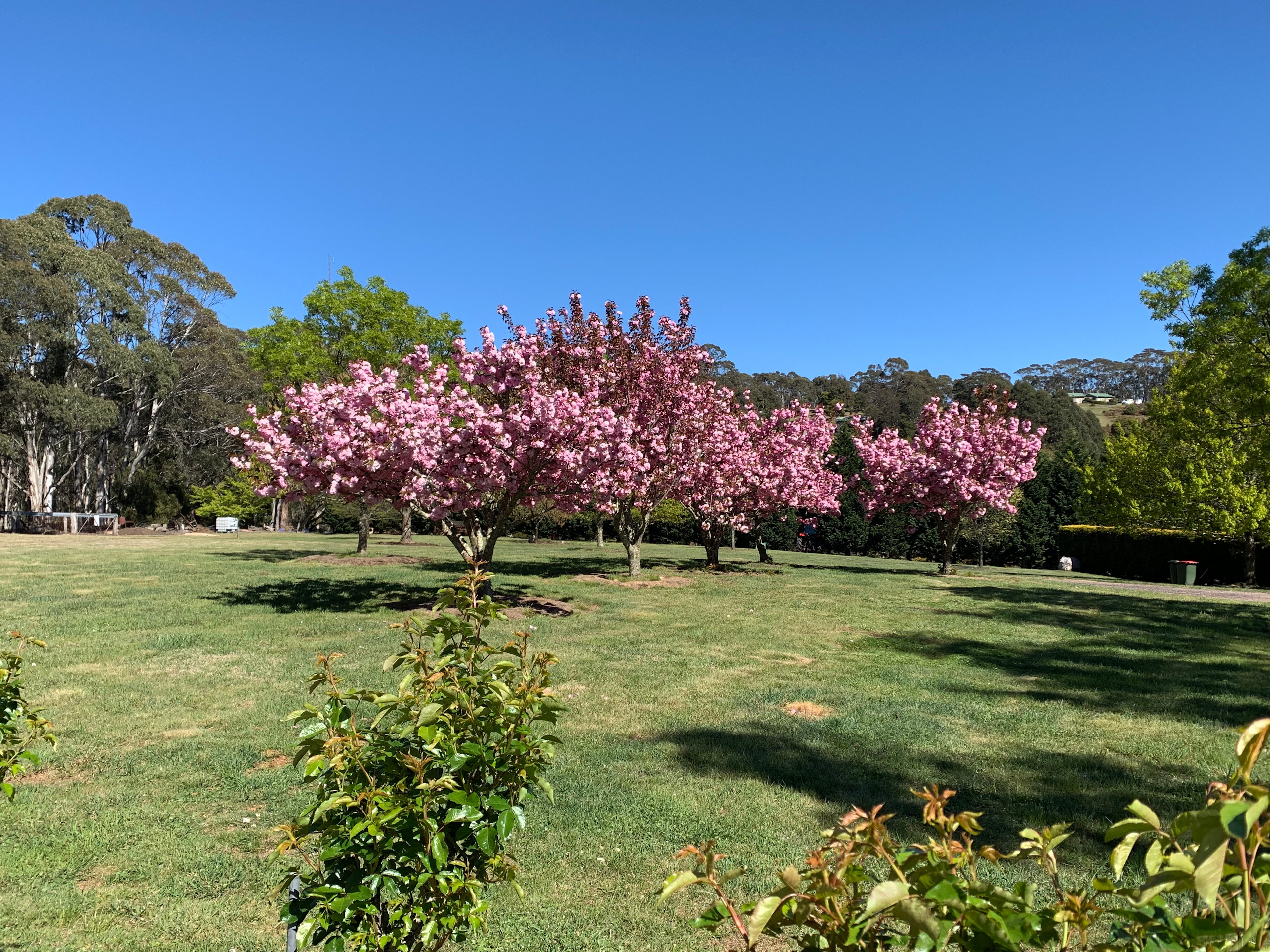 Kenzell Farm
