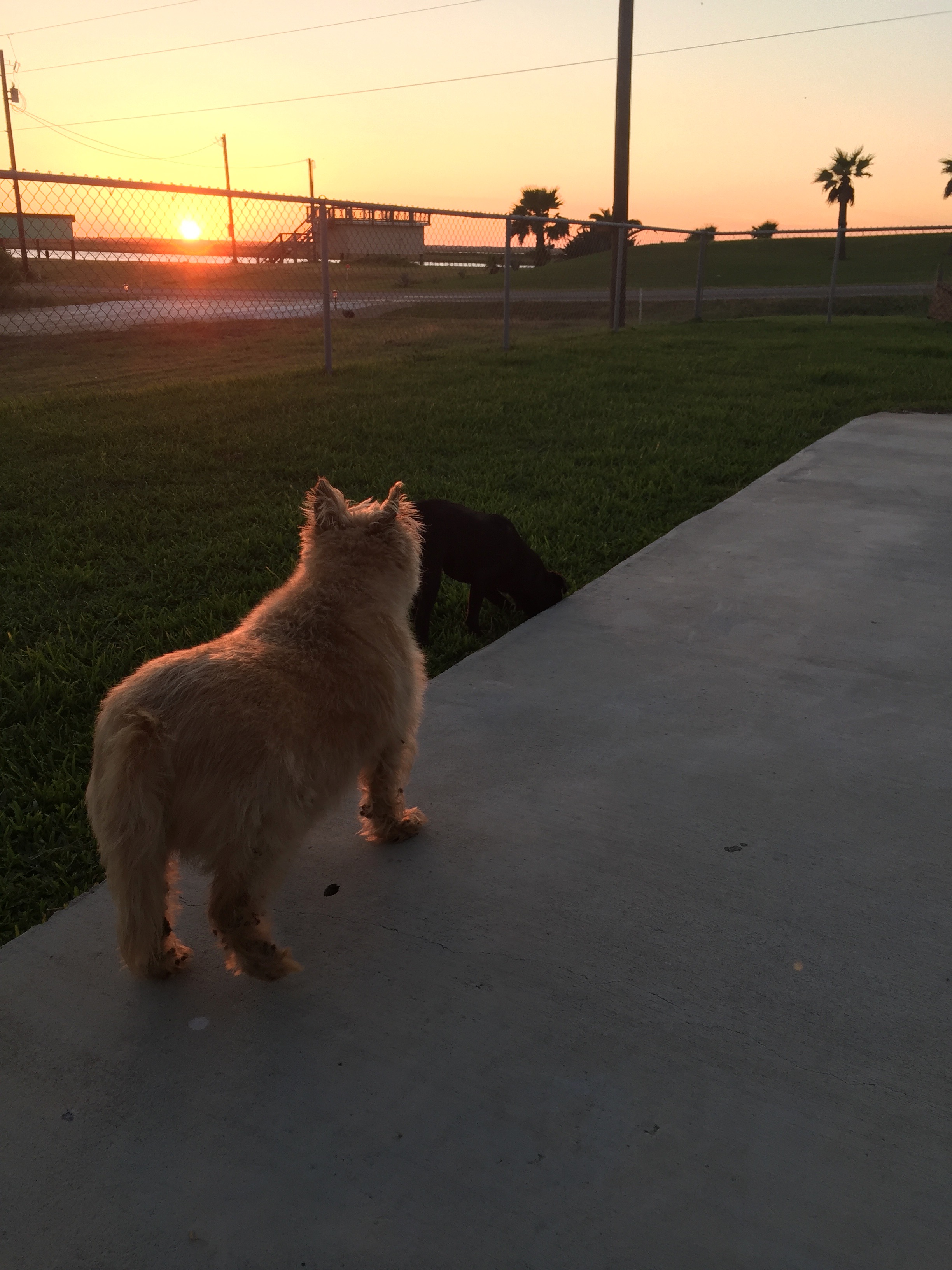 Sunset from the property