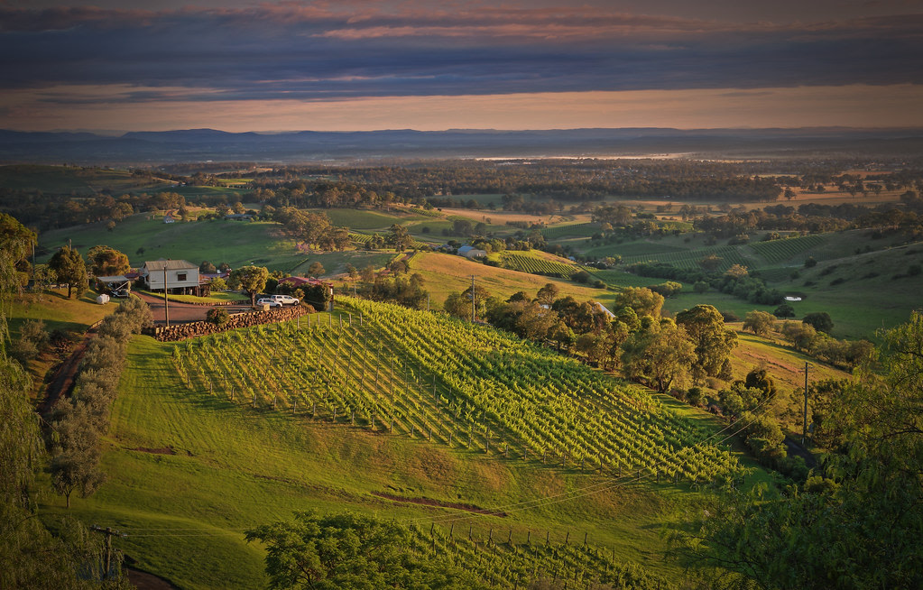 Hunter Valley wineries. Photo credit: "Hunter Valley winery" by Kevin Rheese is licensed with CC BY 2.0. To view license, creativecommons.org/licenses/by/2.0/