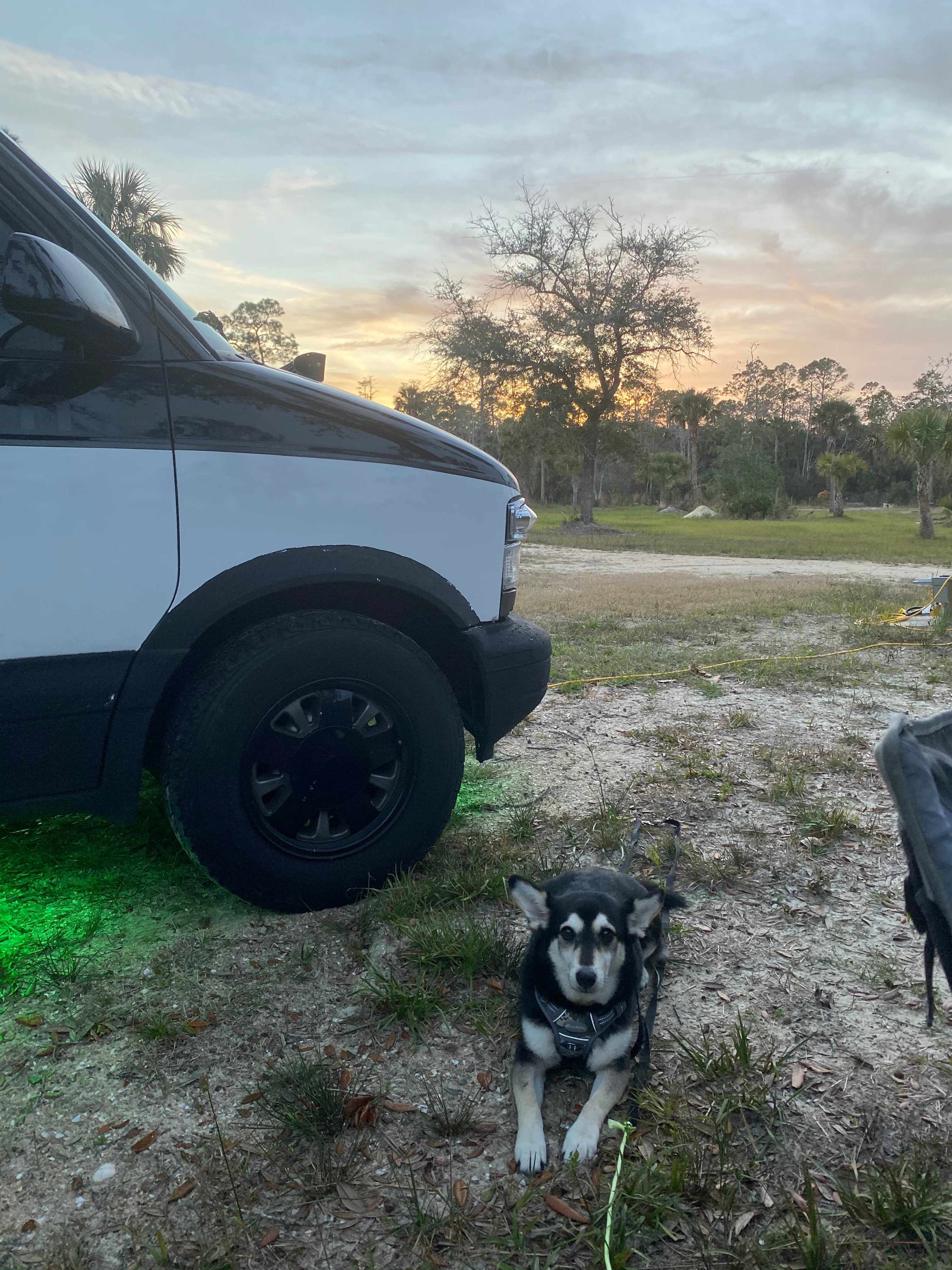 IN THE FOREST AND  CLOSE TO OCEAN