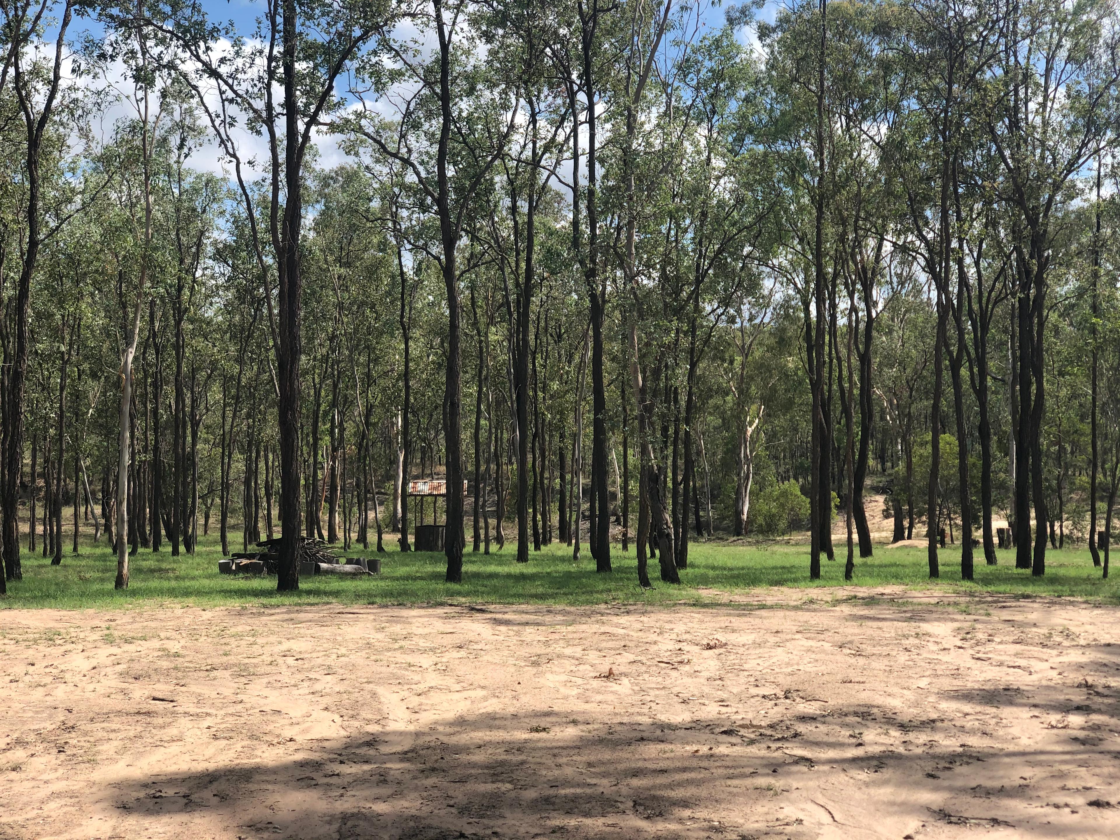 Ballogie Bush Camp