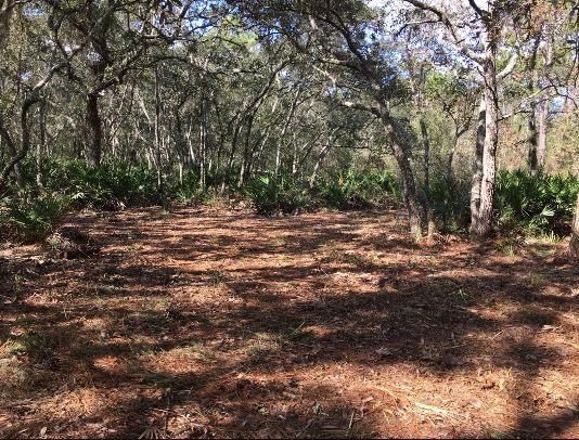 Walking Trail for your furry friends and you!