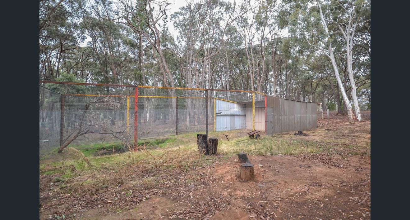 The Gateway-Hargraves Bushland