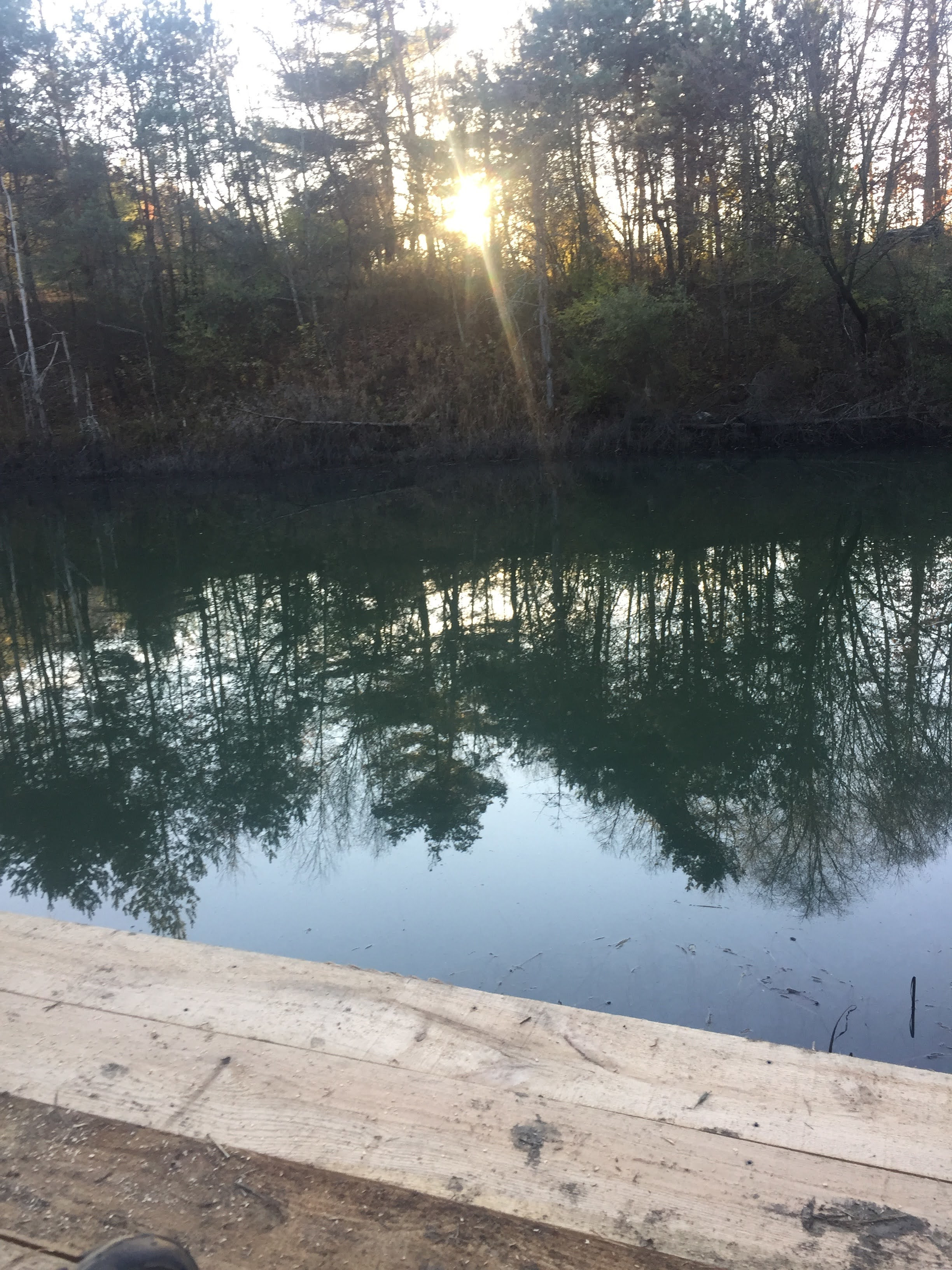 Peaceful Seclusion
