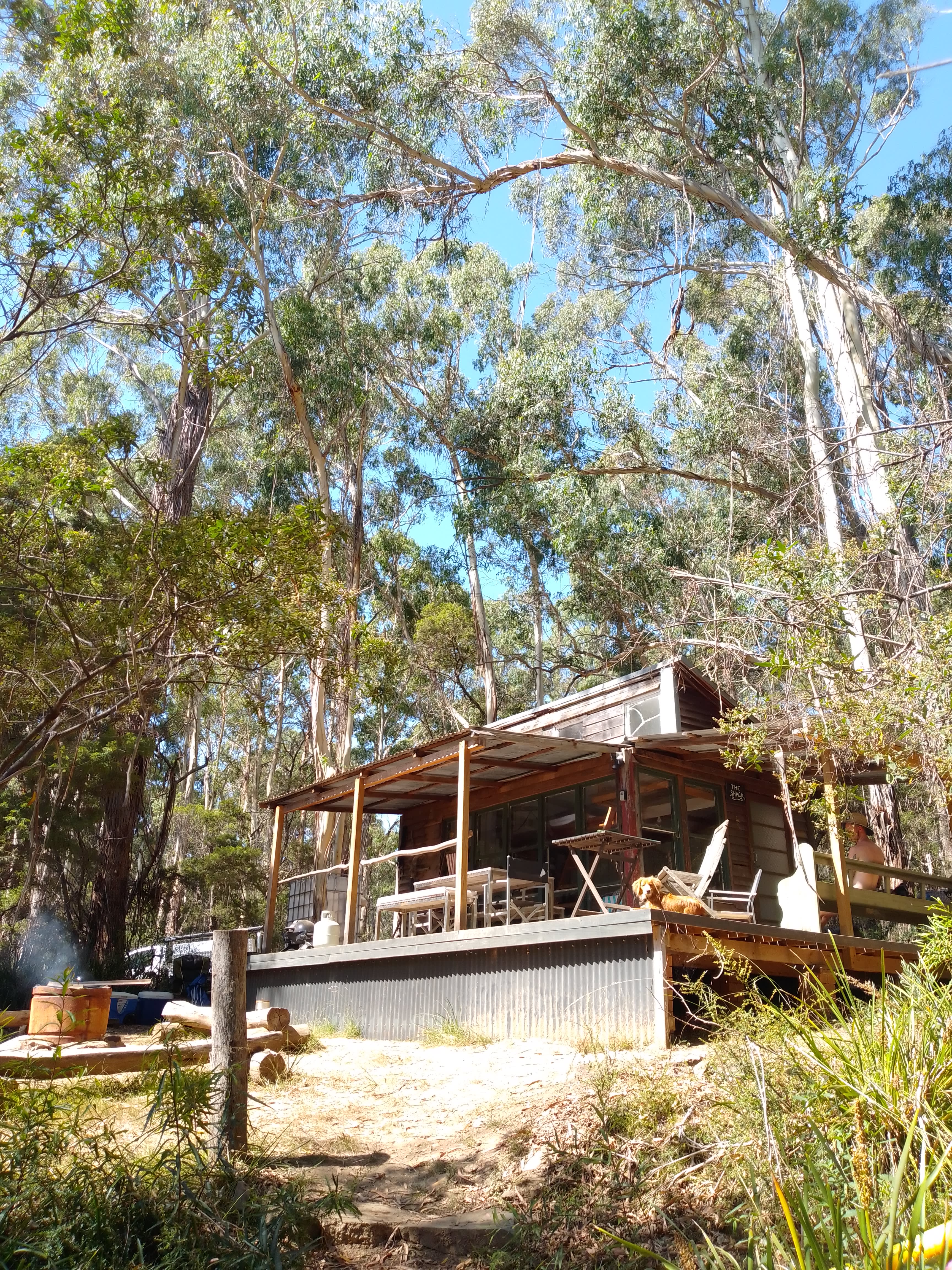 Scribbly Gum secluded bush camping