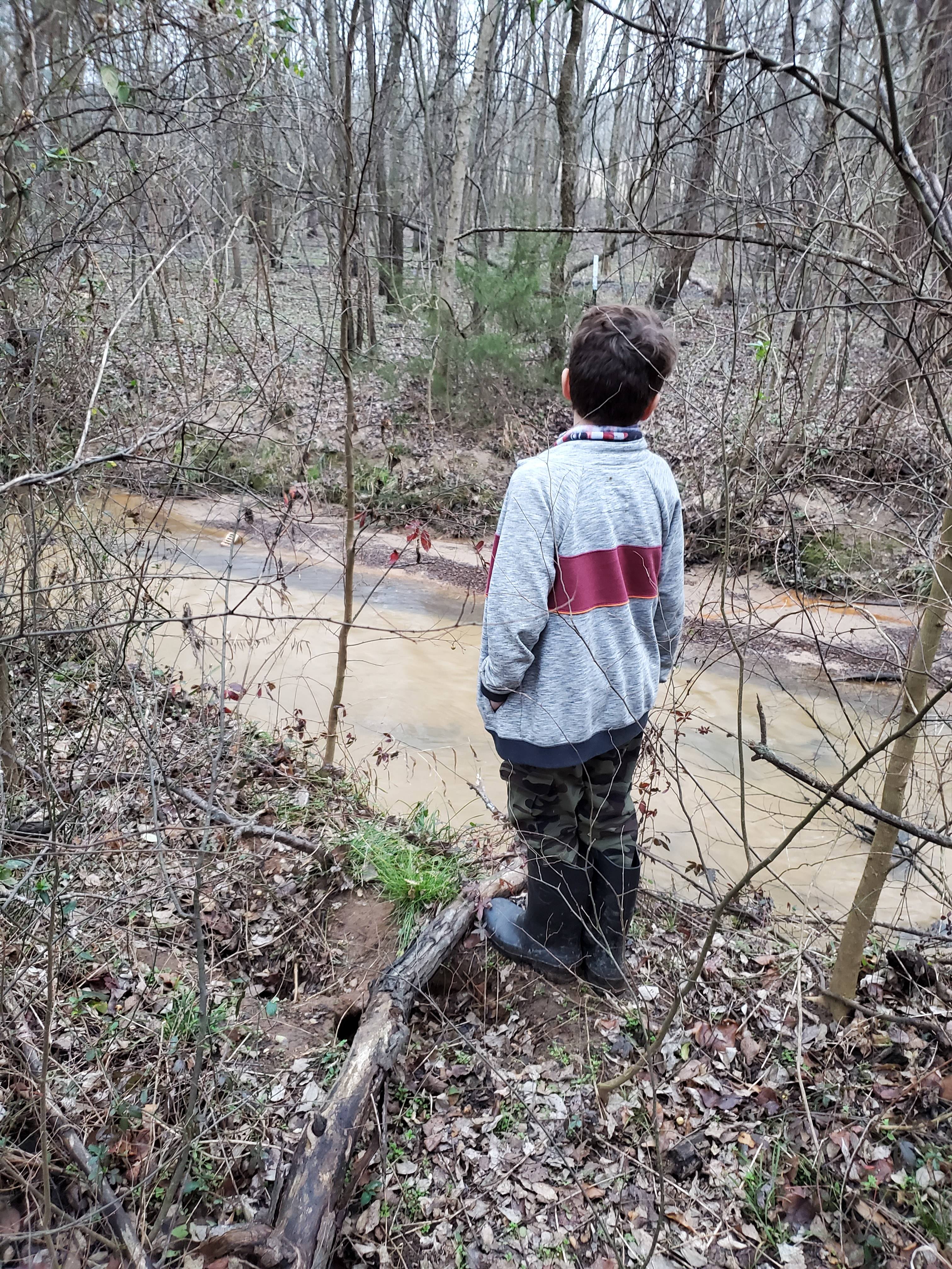 Spring creek 