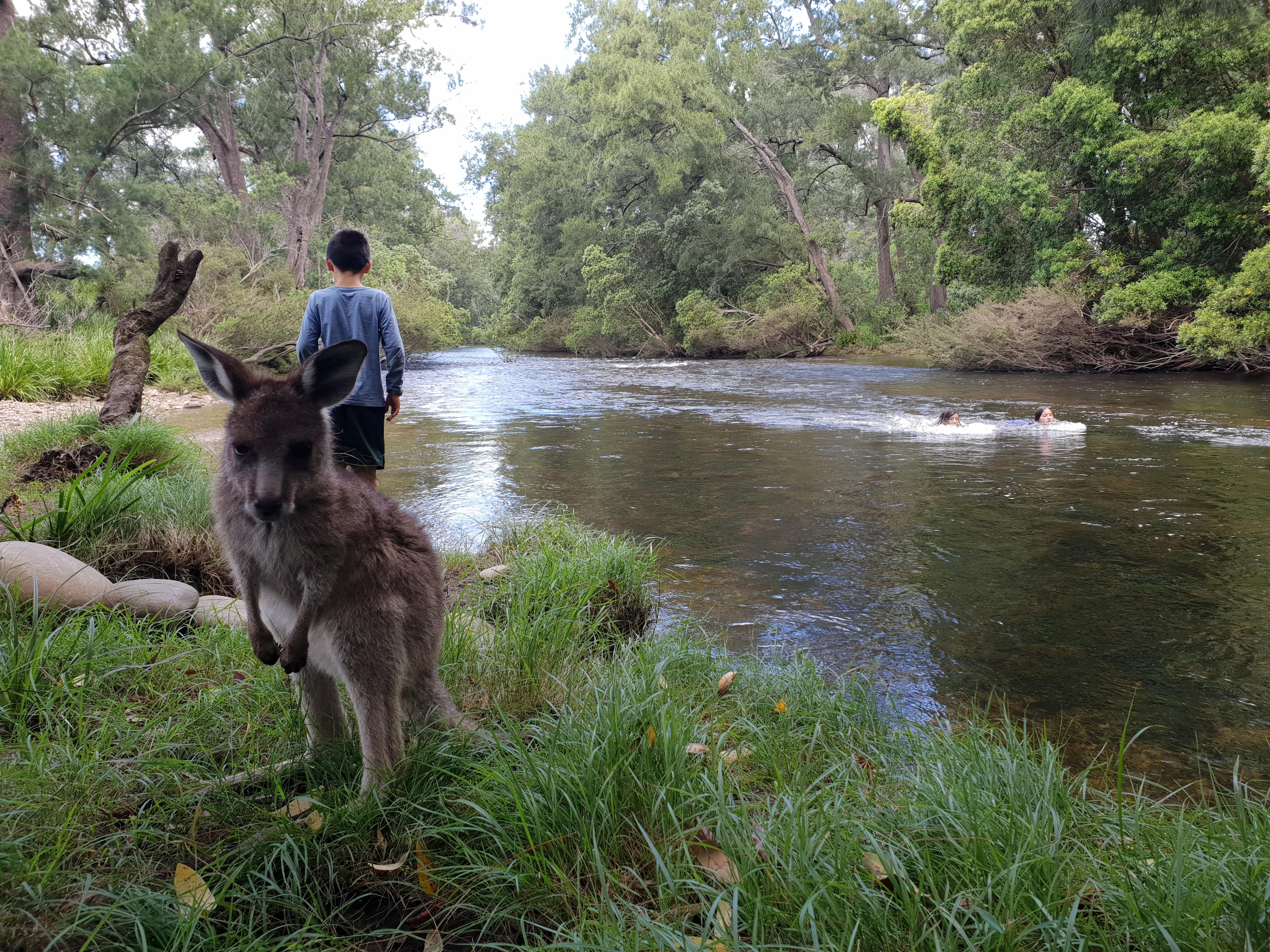 Second Crossing, Festival Flats