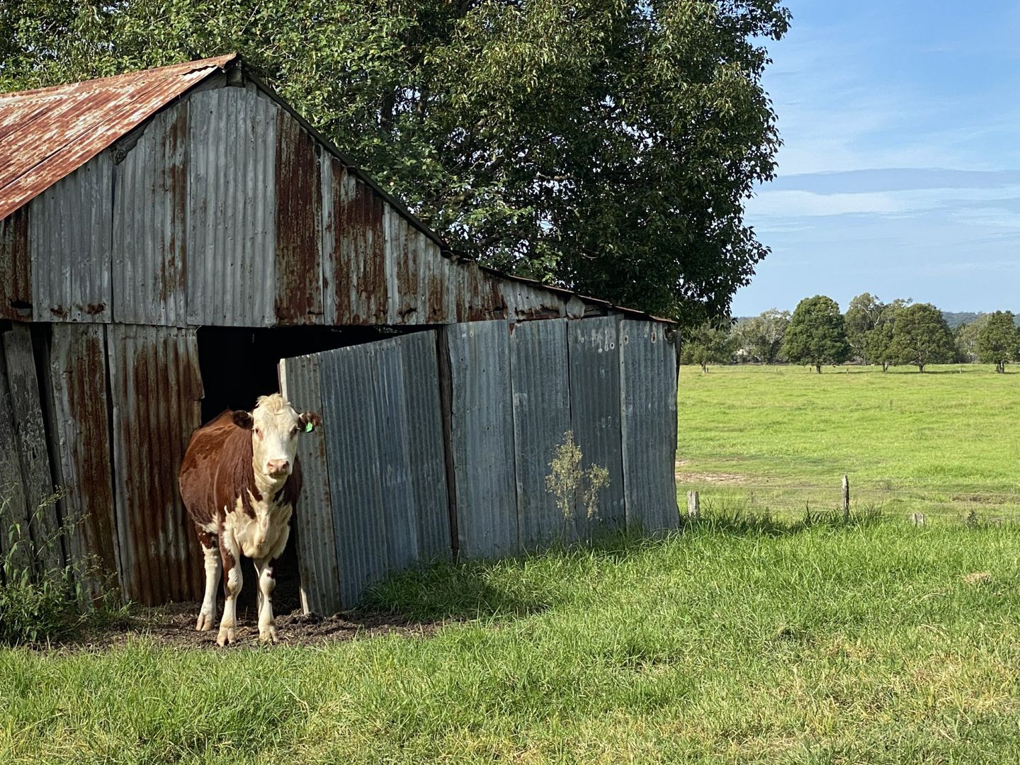 Manning River Waterfront Camping