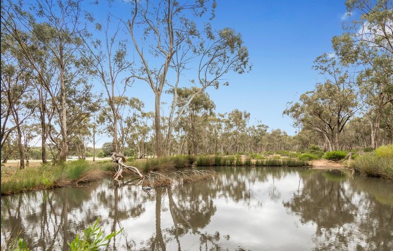 Snooks at Possum Point