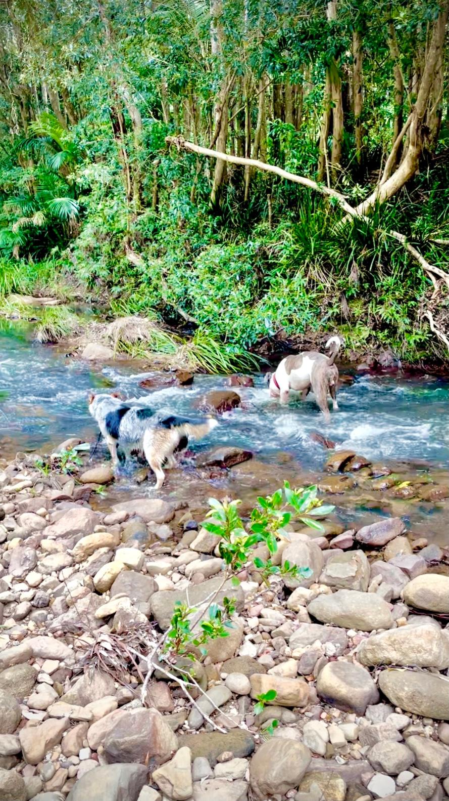  Creek down the back . . . Super refreshing 