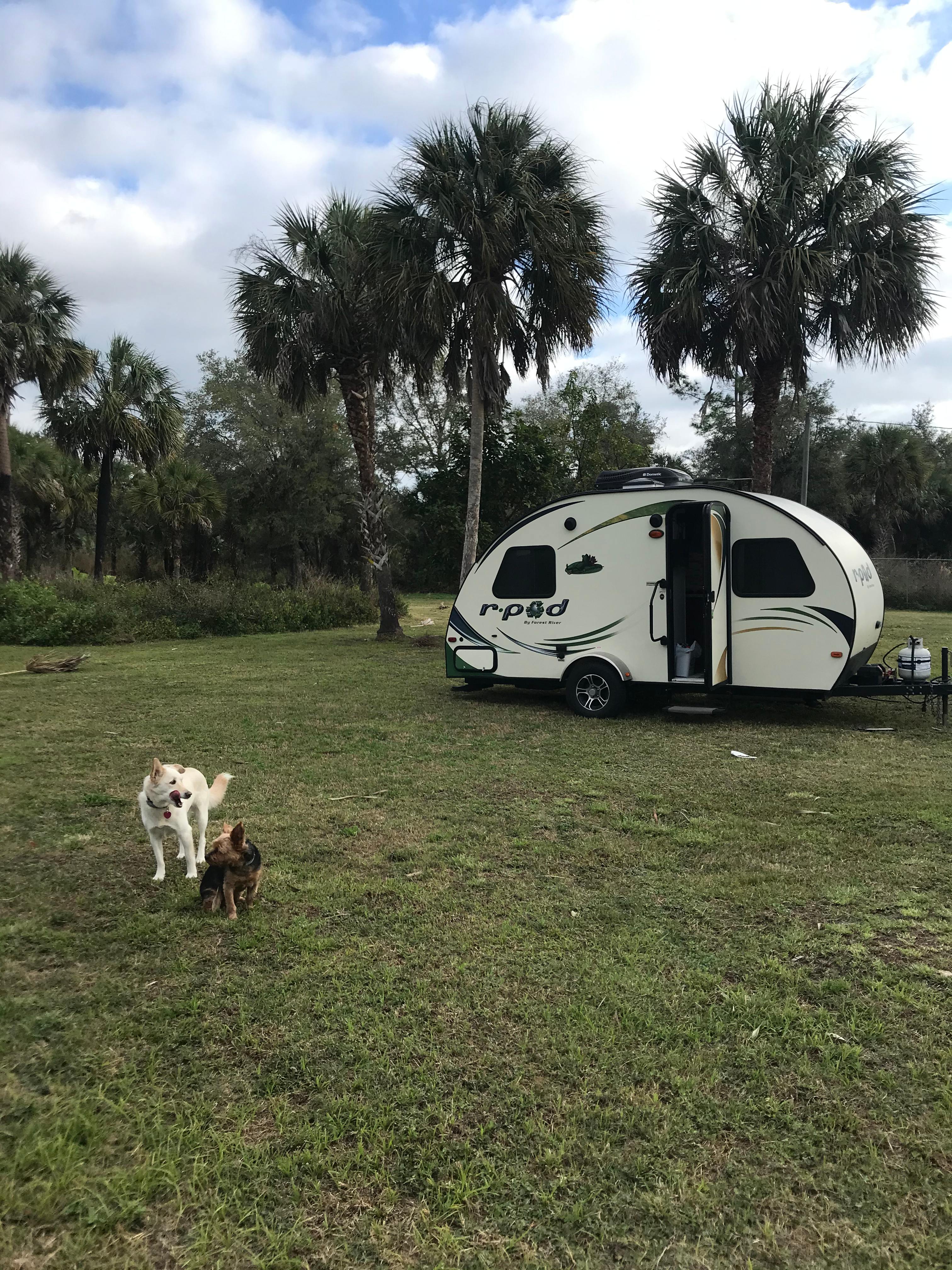 Meadow River Ranch