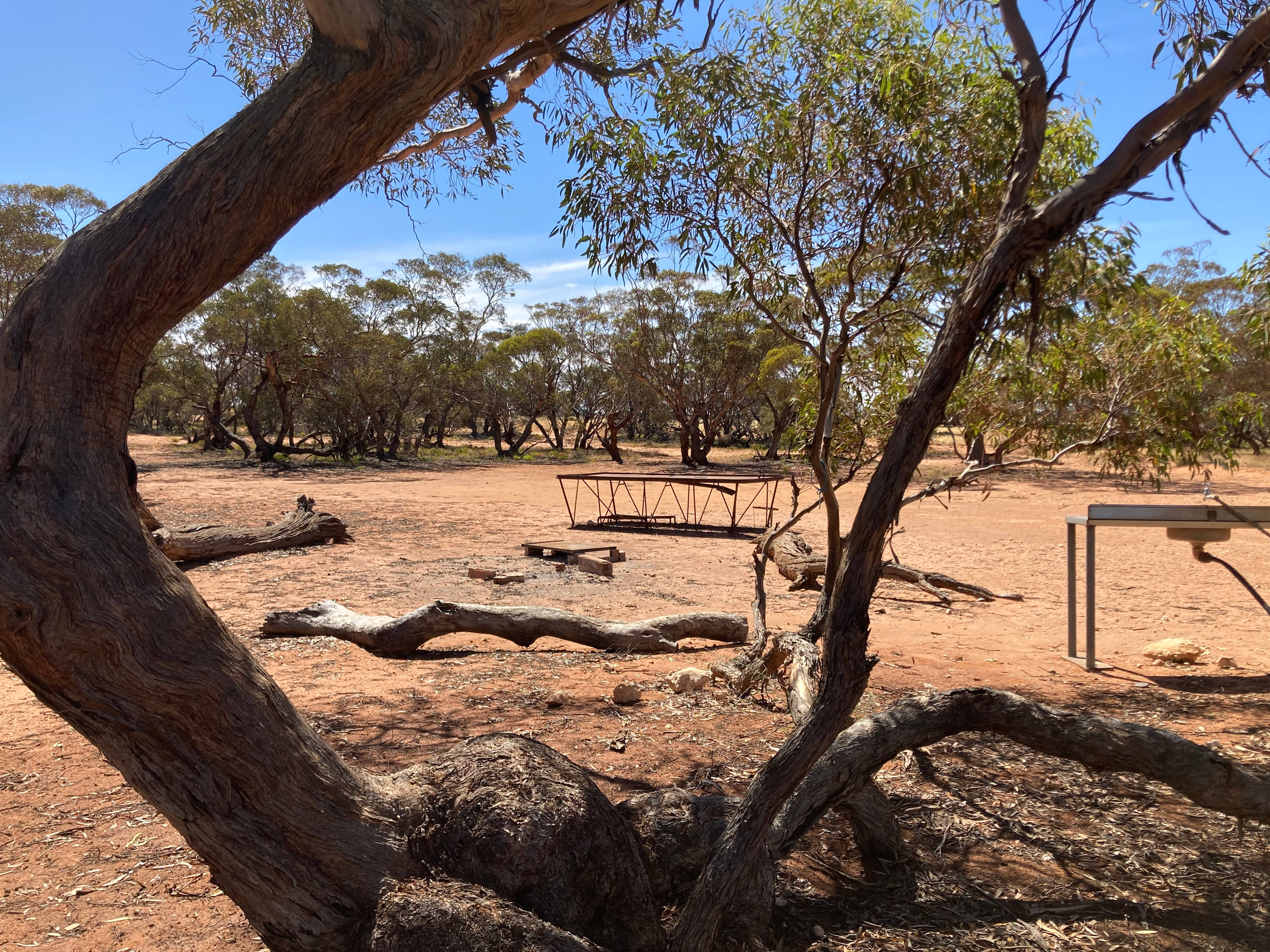 View of Campsite. Looking towards Site 1