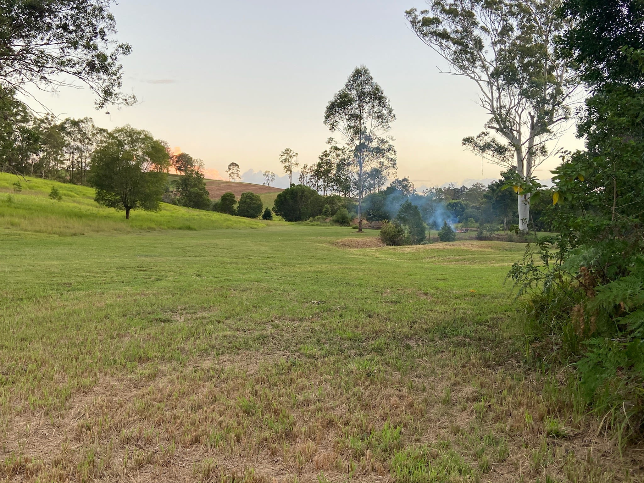 Flame Tree Valley Gympie