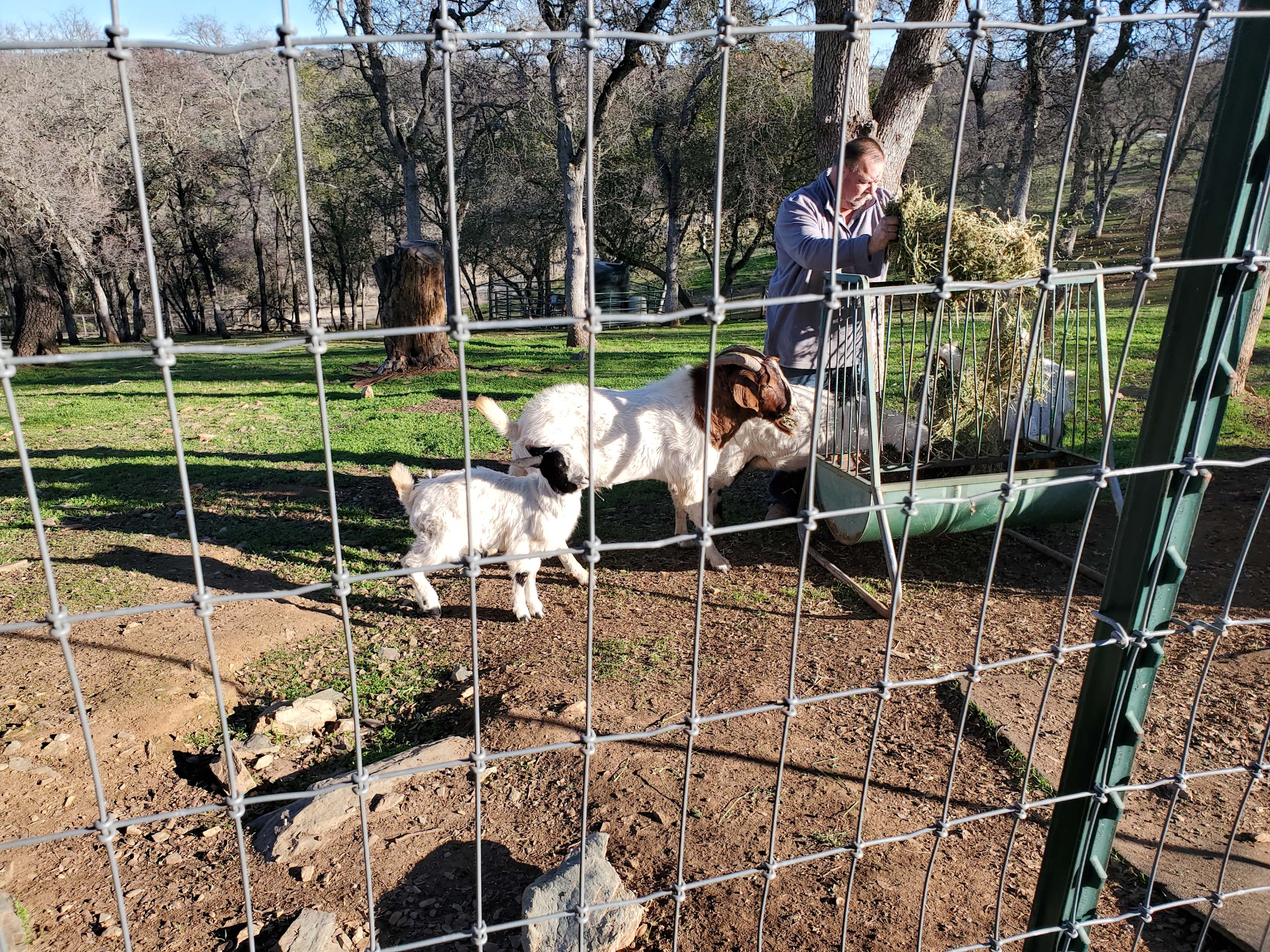 Bella Branch at SE Ranch