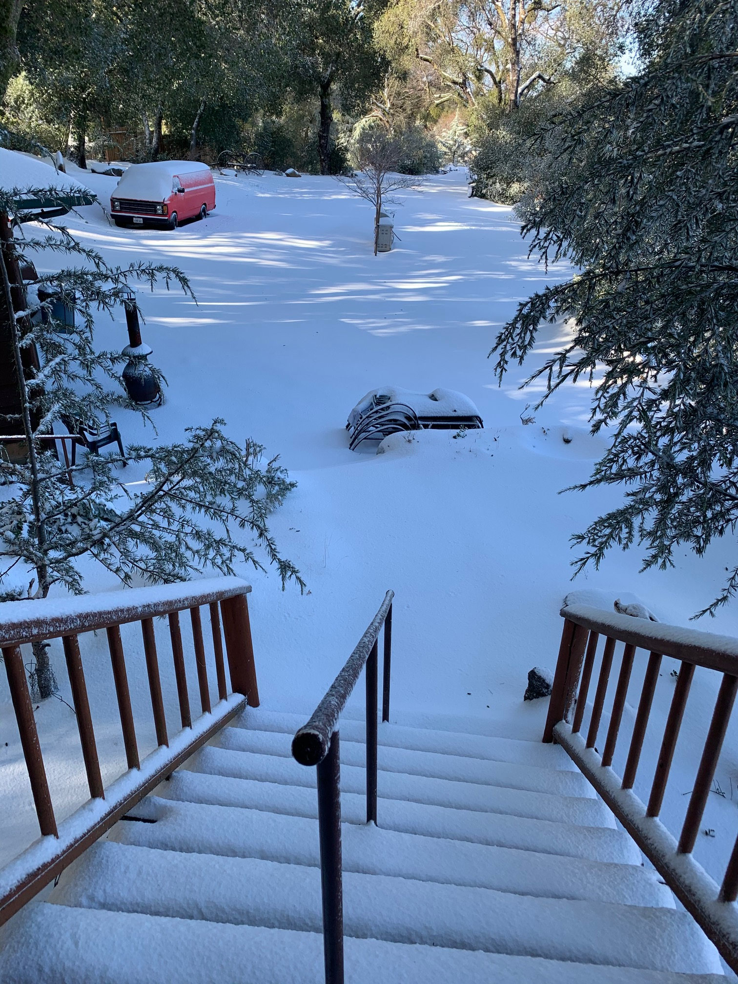 Taste of Nature and Wildlife