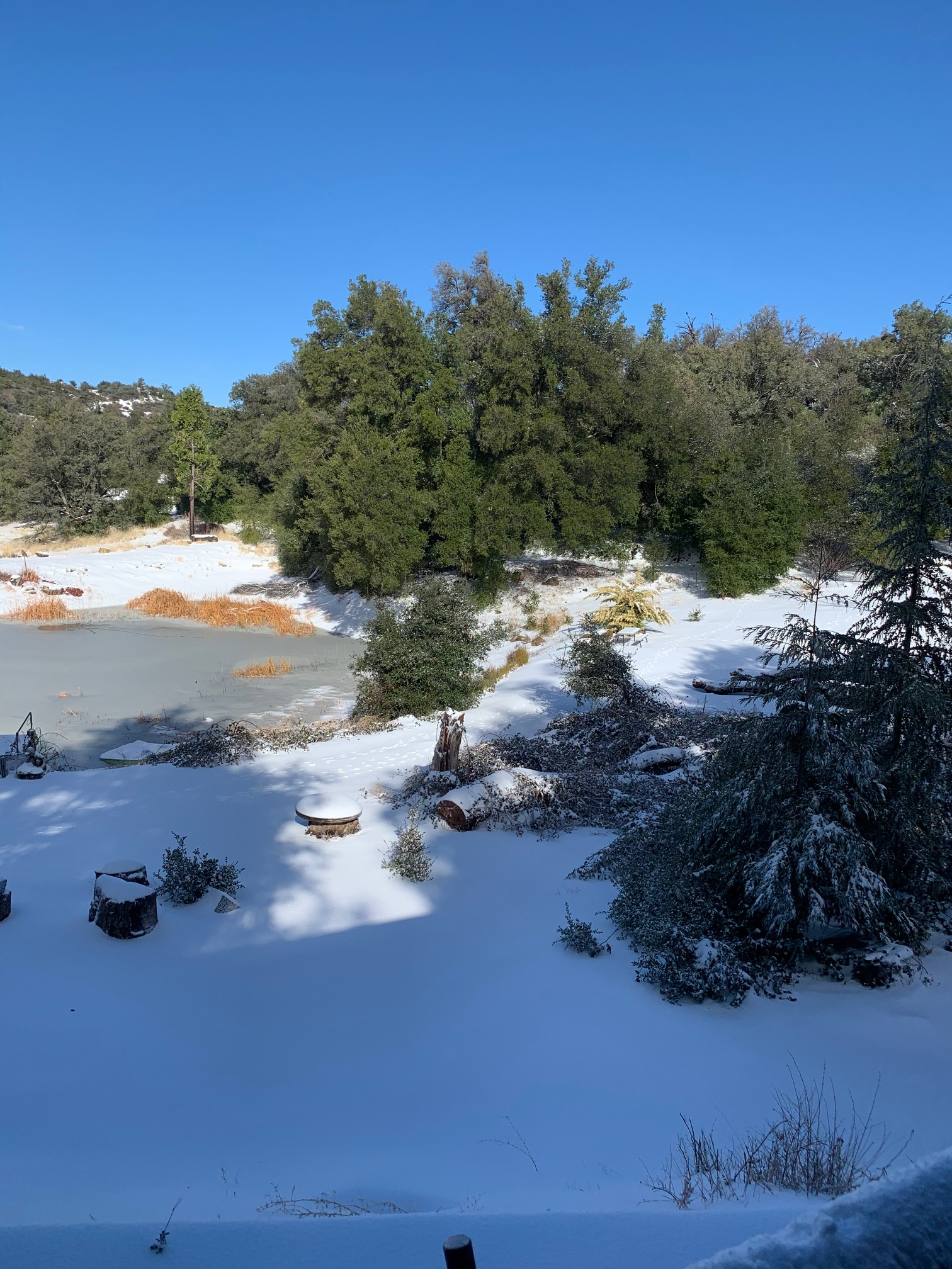 Taste of Nature and Wildlife