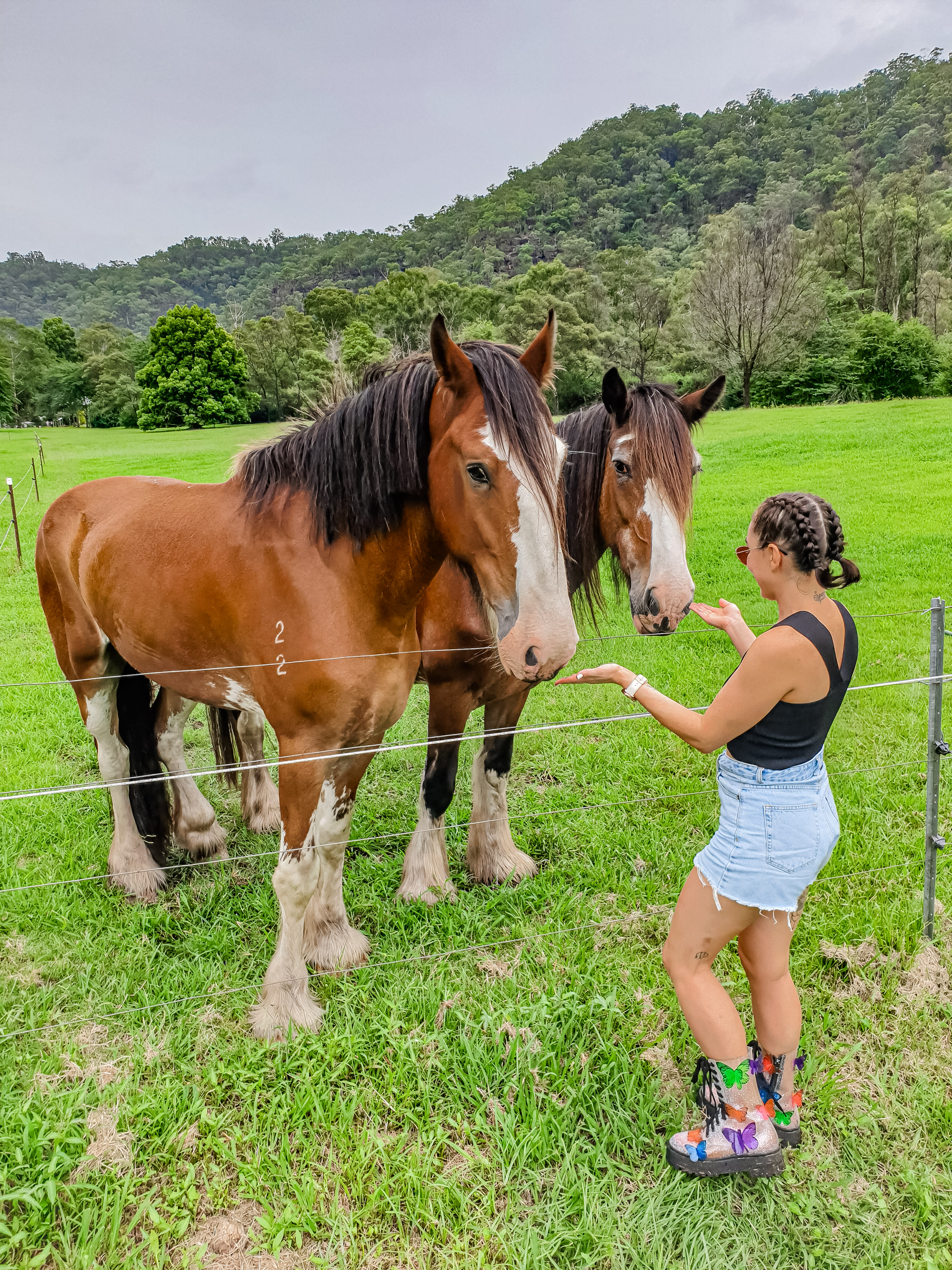 "DeView" Colo River Valley Camping