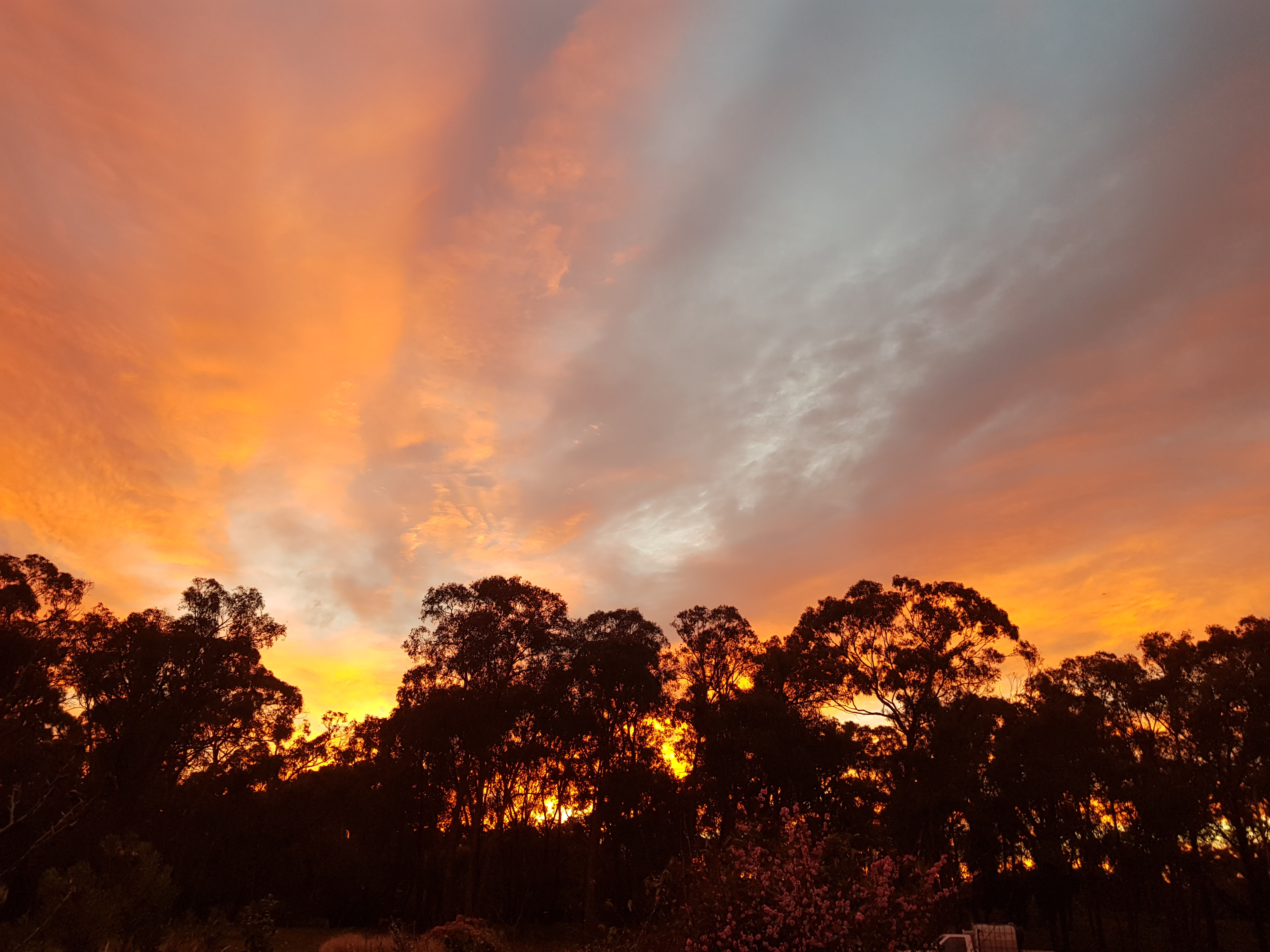 Penzance Bushland Retreat