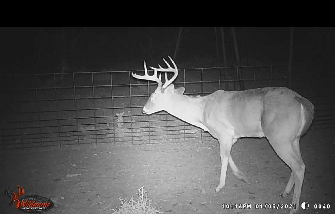 Rustic camp on the Mexican border