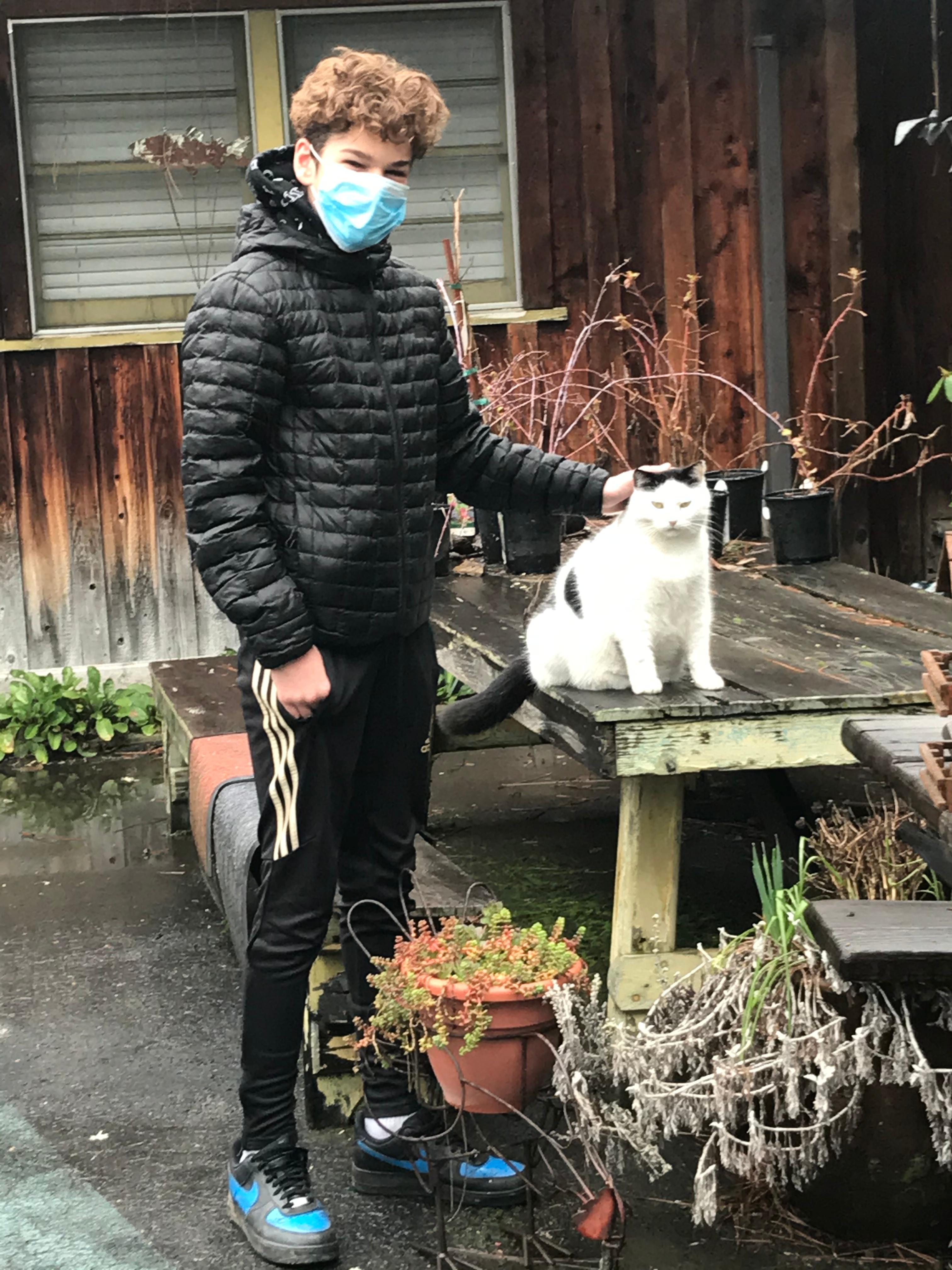 Filibuster the temperamental cat with equally tempermental teen