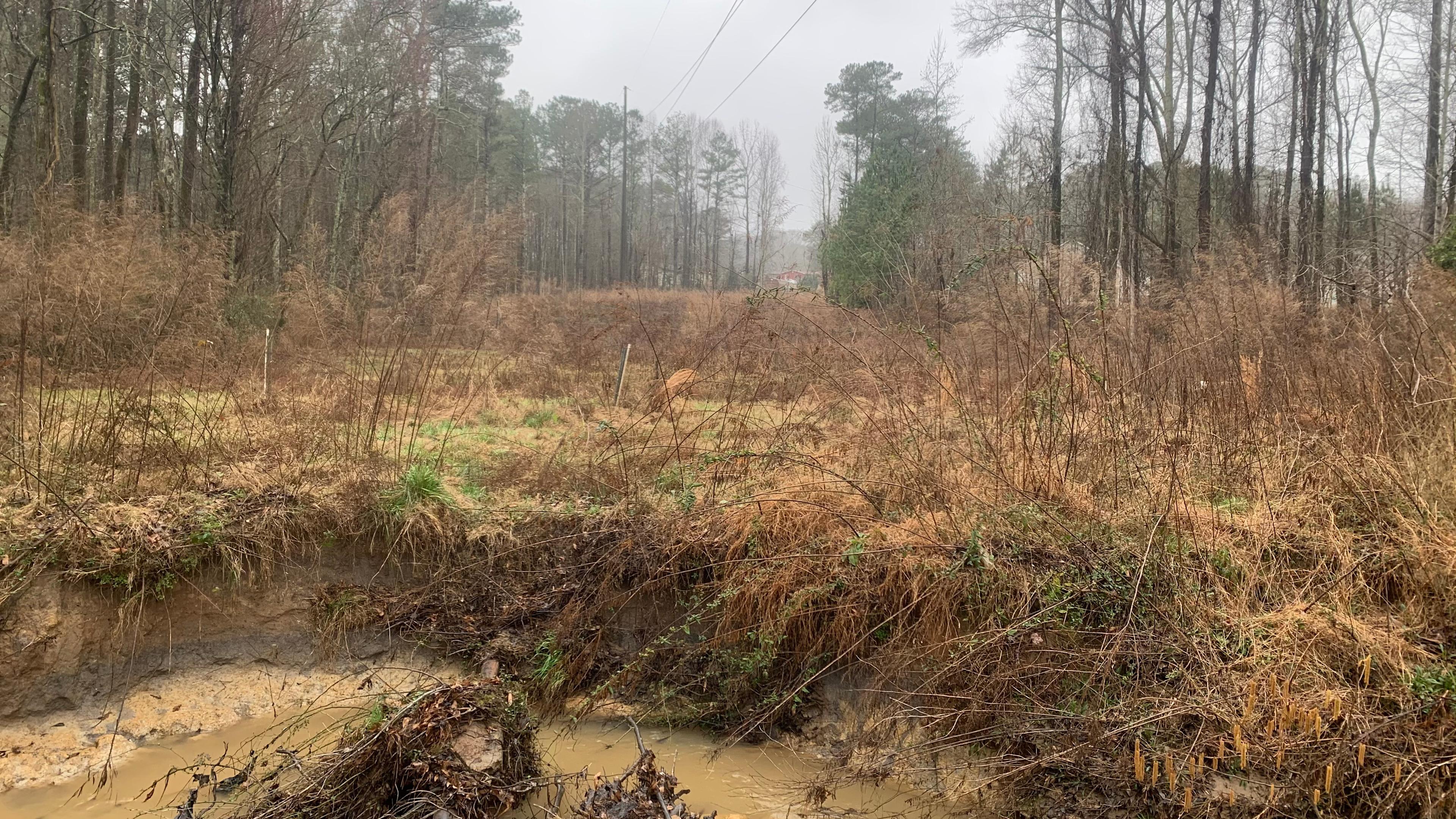 Urban Forest Camp Ground