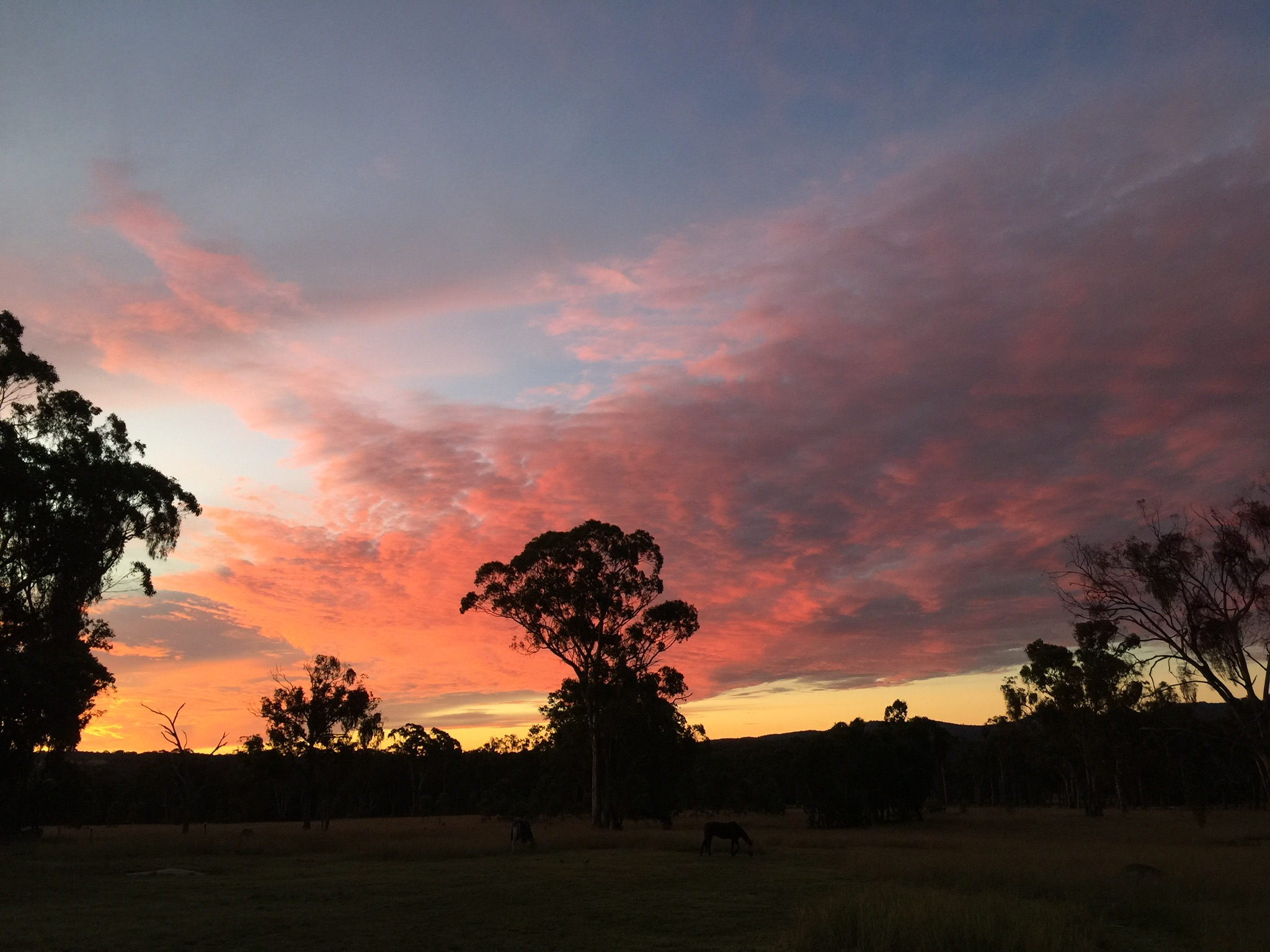 The skies are night are always different and often spectacular. You can often get a clear view of the stars on a clear night.