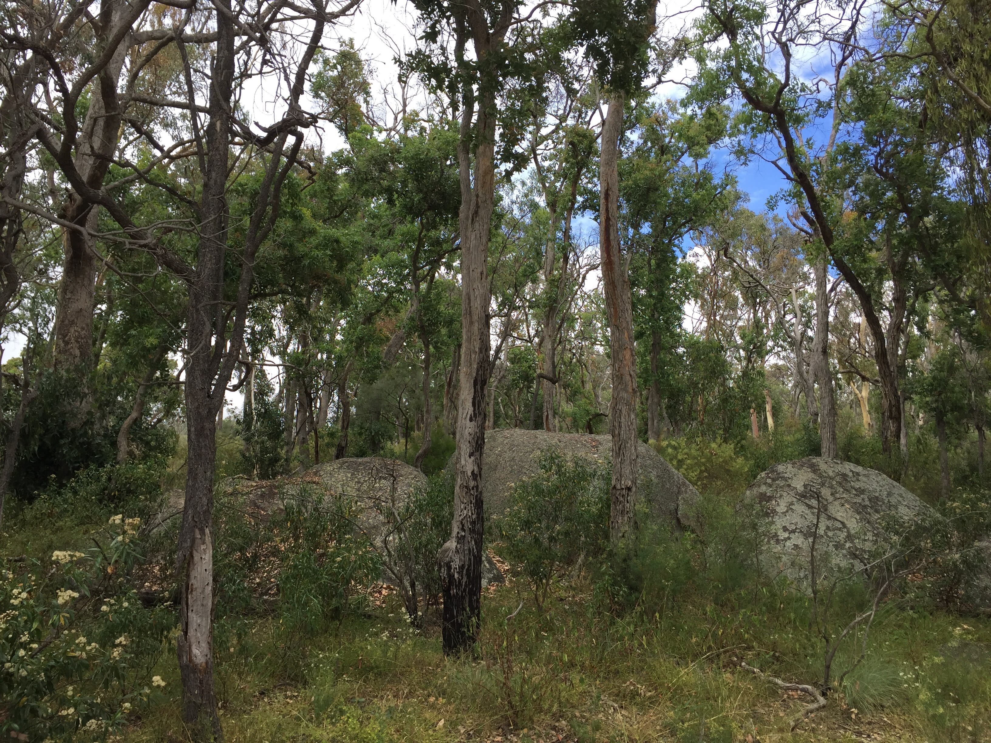 Jennings Tranquil Country Camp