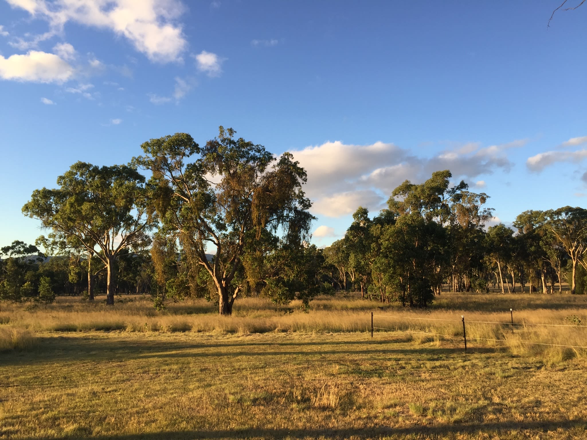 Jennings Tranquil Country Camp