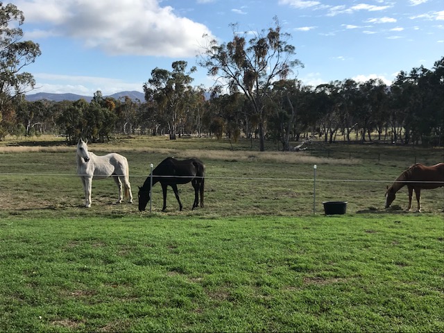 Jennings Tranquil Country Camp