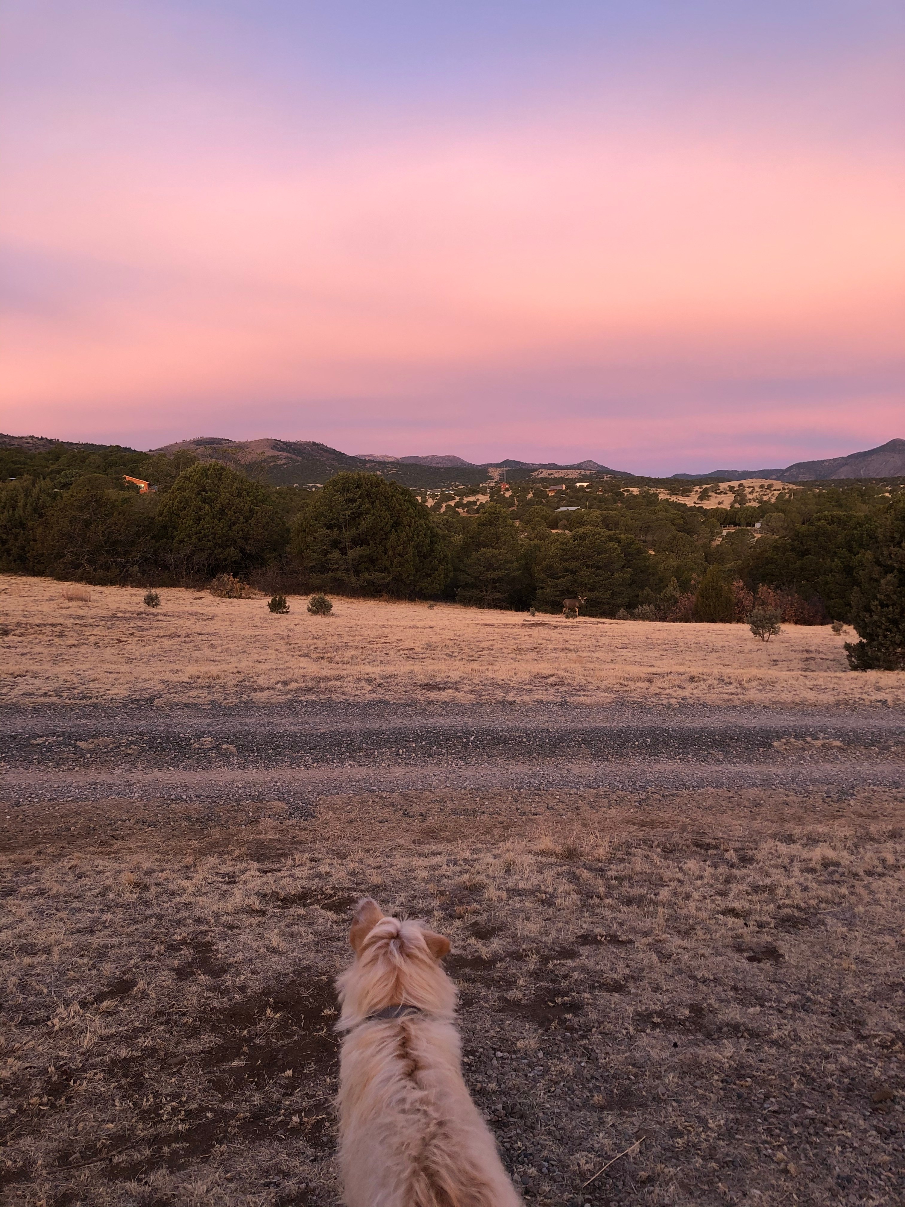 Sunrise view from campsite