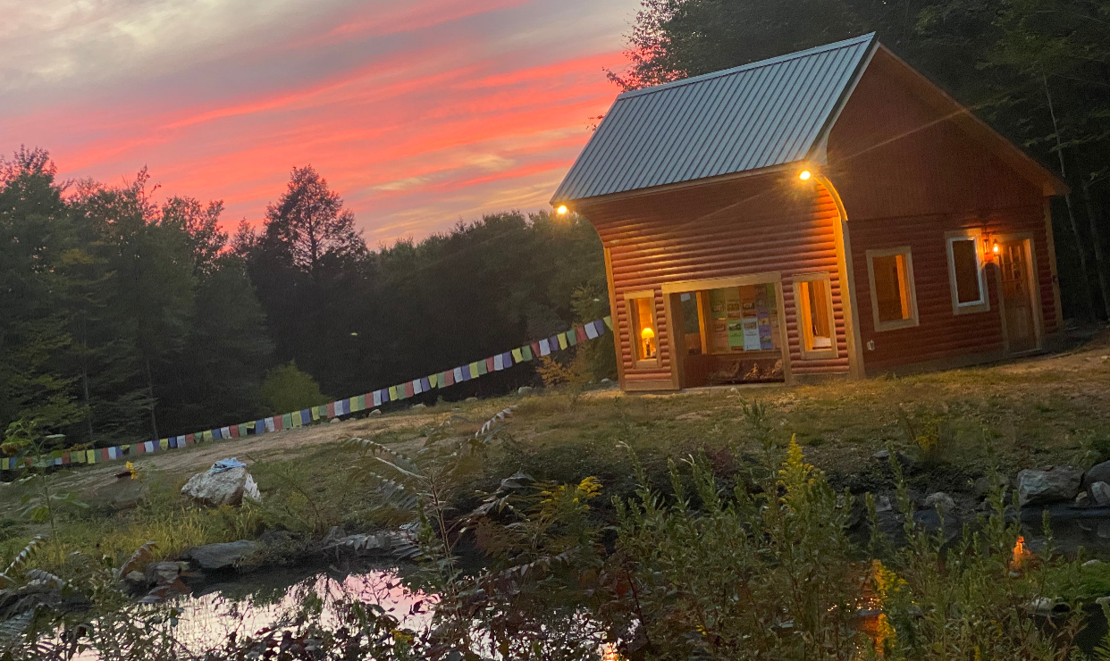 Salamander Hollow Healing Habitat