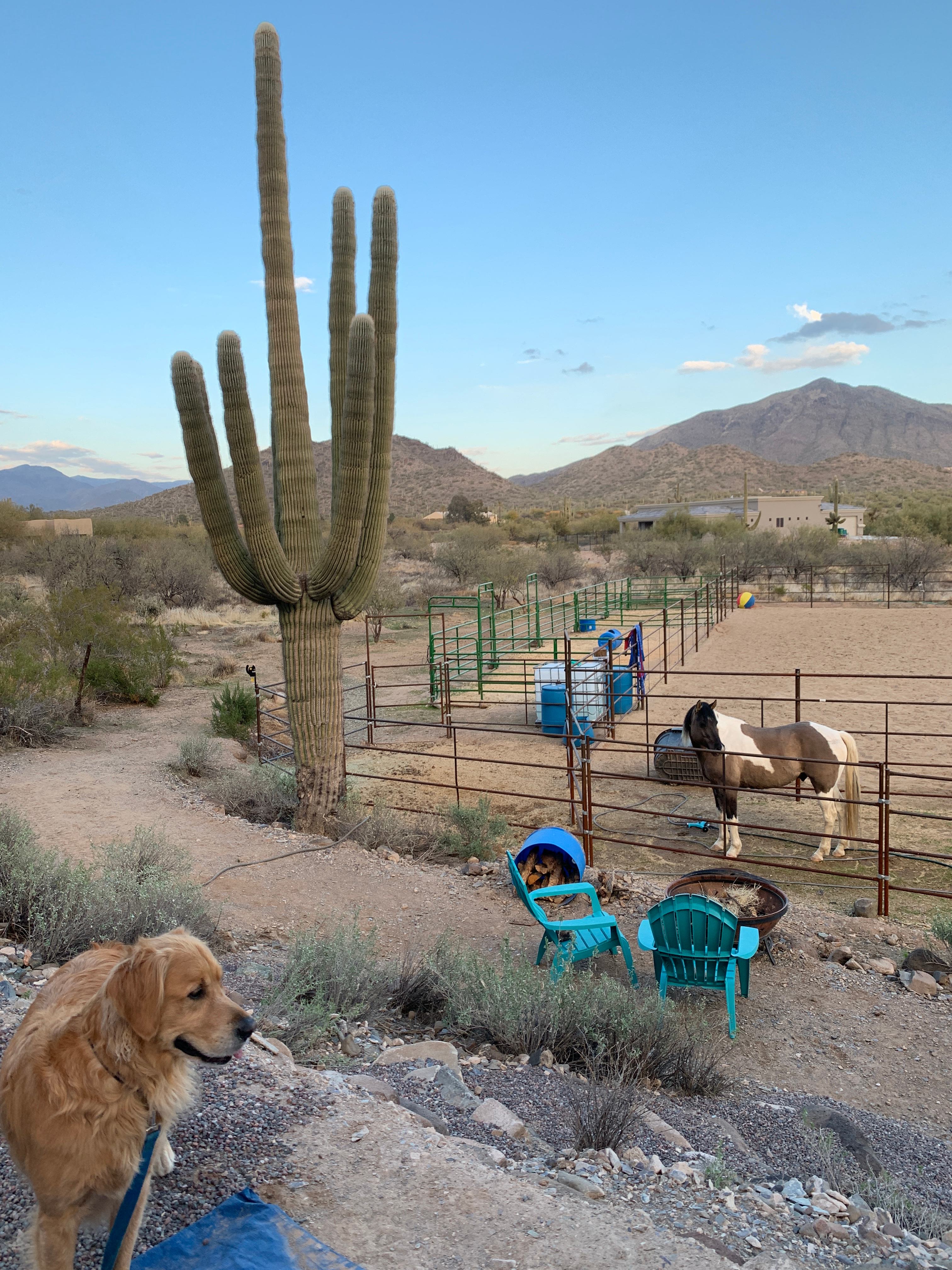 Cave Creek Quiet Homestead