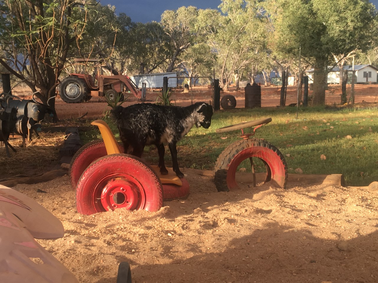 Adavale Farm