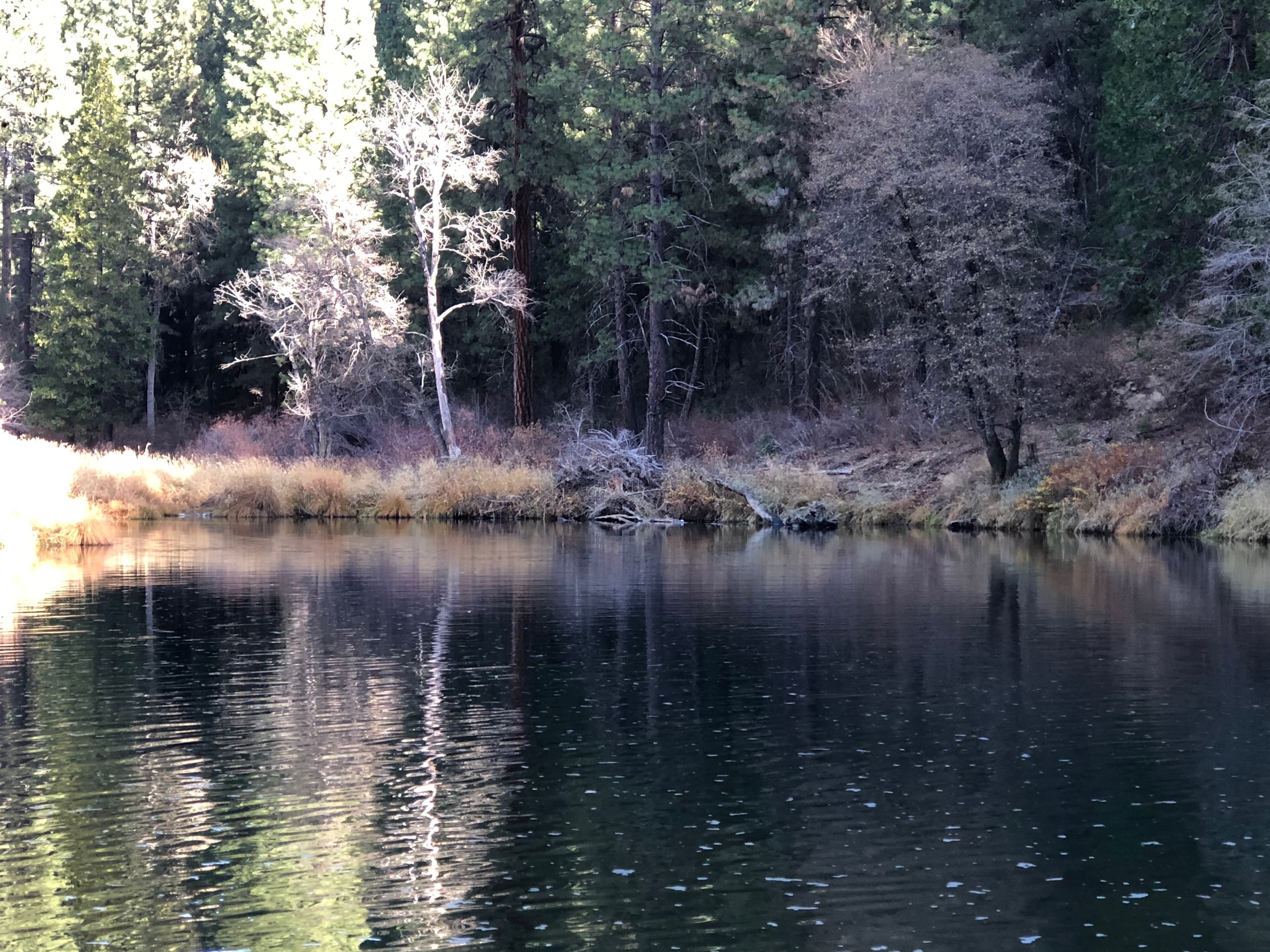 Camp Becausewecan