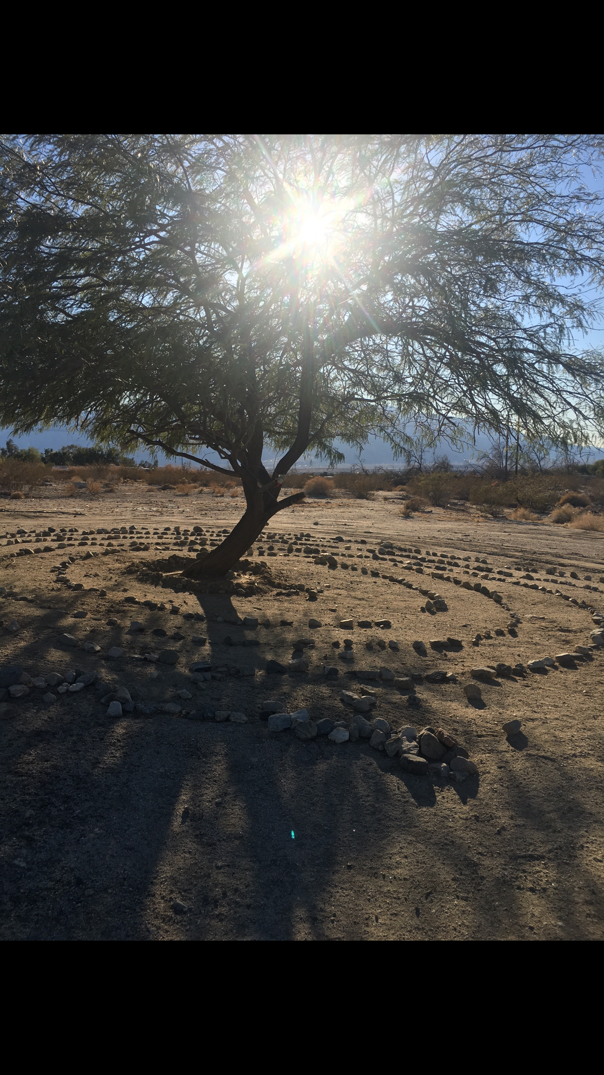 Walking labyrinth 