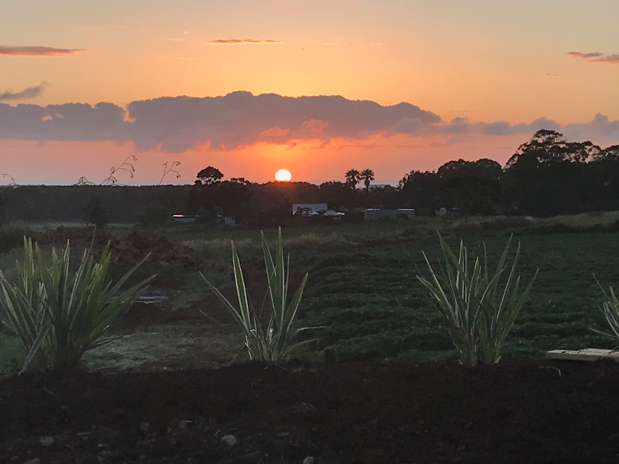 4WD access only during and a few days after heavy rain. 