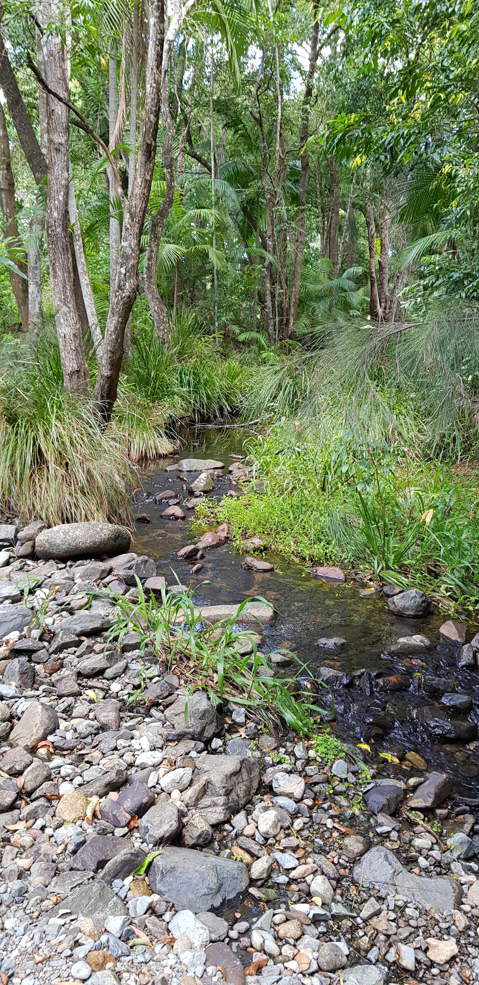 Private Rainforest Creek Camp