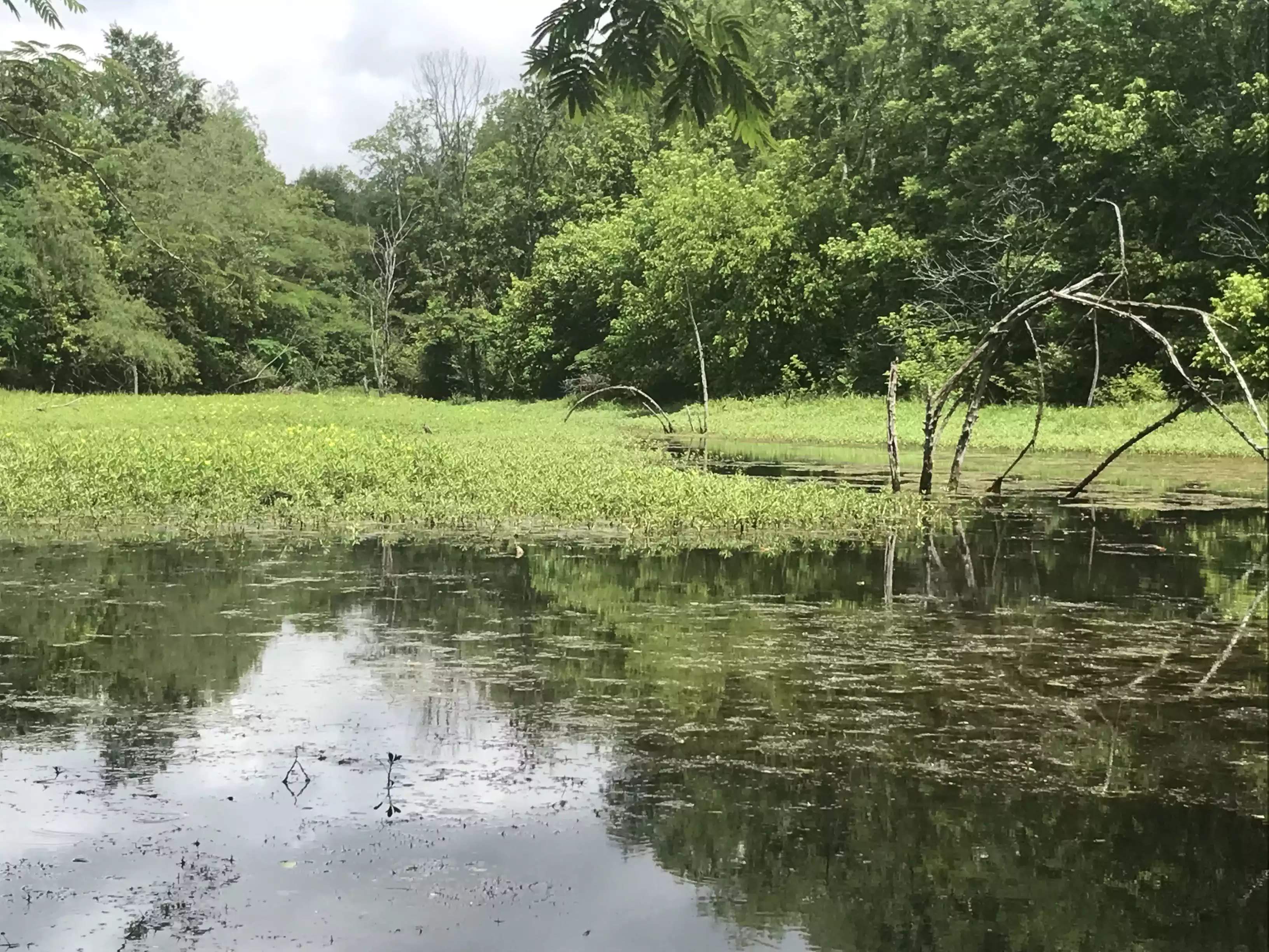 Emily G.’s Land