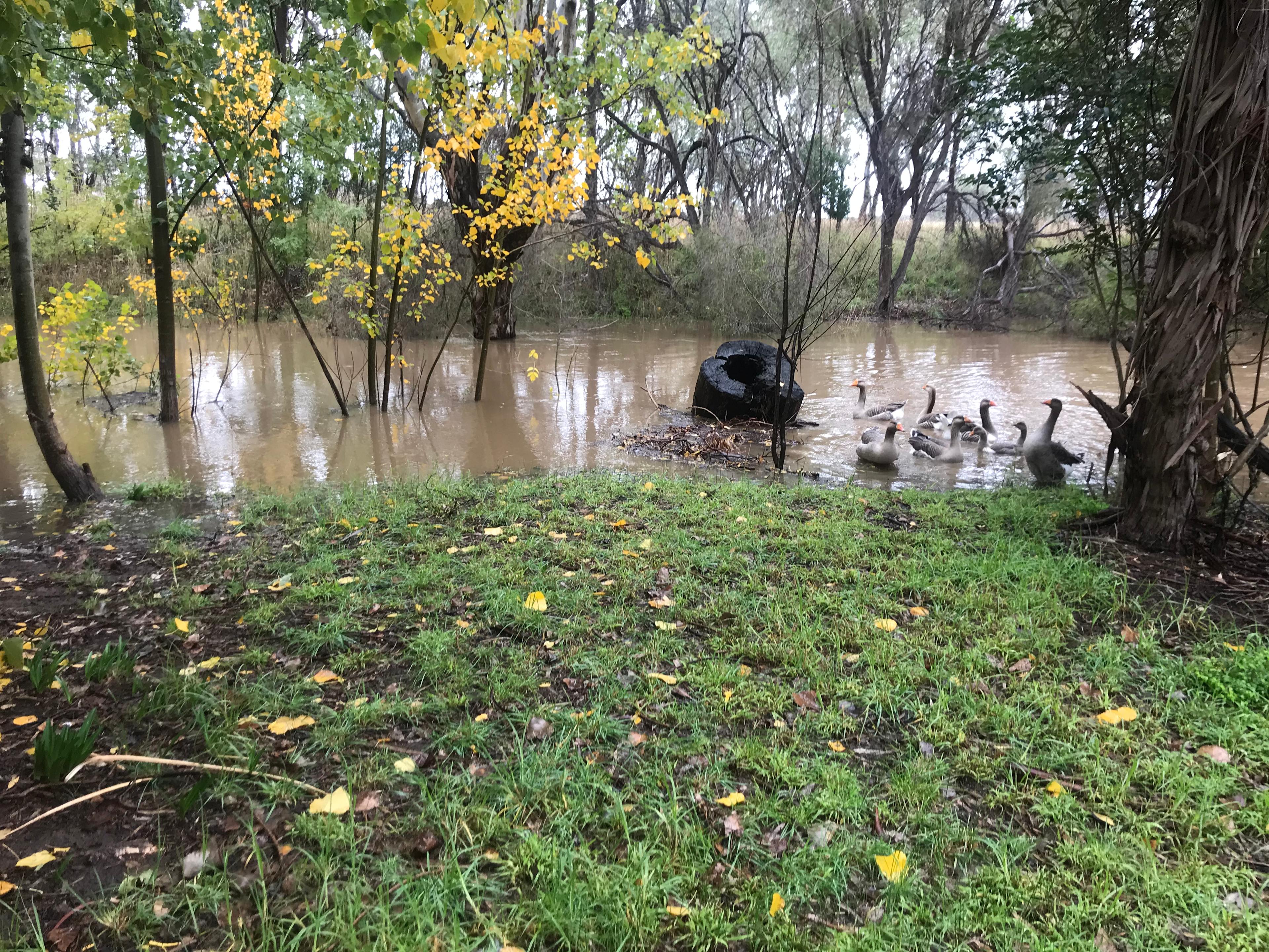 In flood
