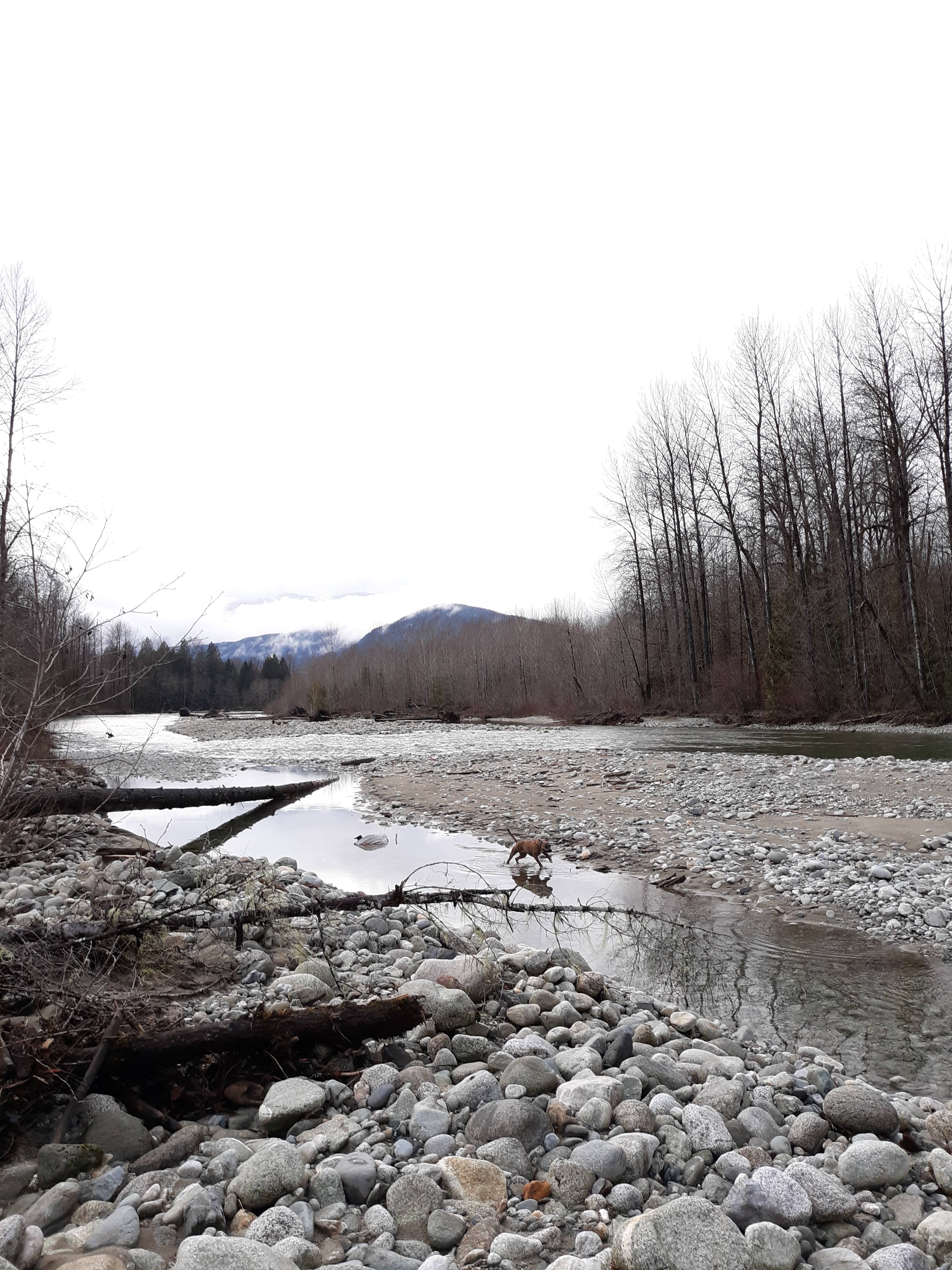 This is the Cascade River, only a quick walk from the campground.