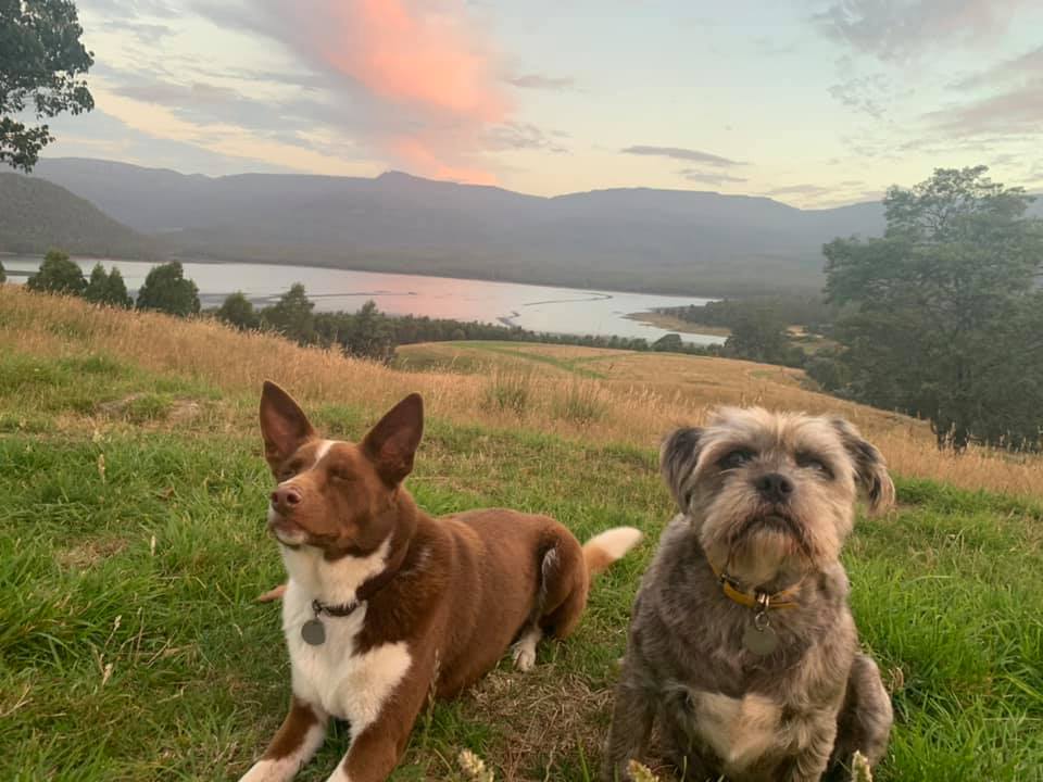 Rosie and Monty loving life on the farm