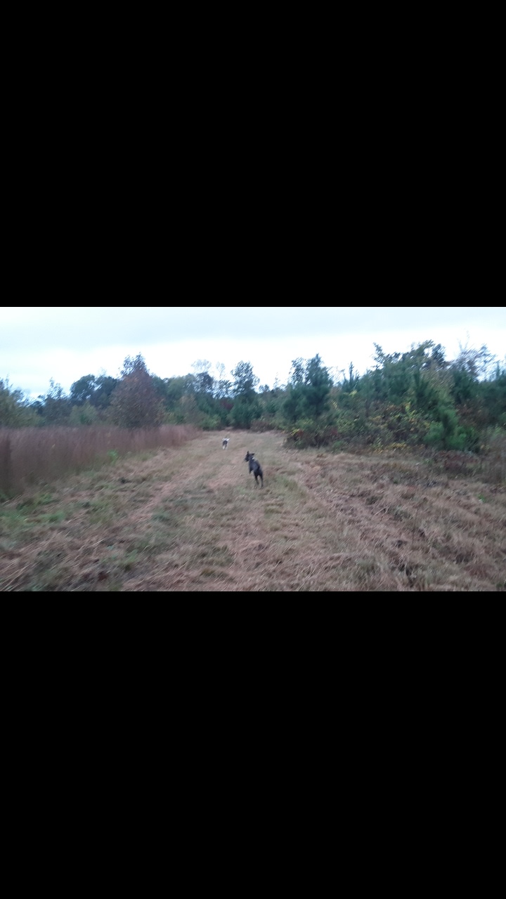 Primitive Farm Camping