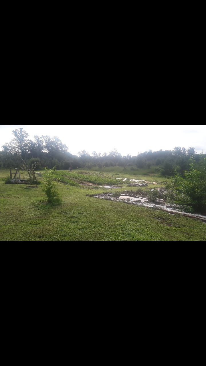 Primitive Farm Camping