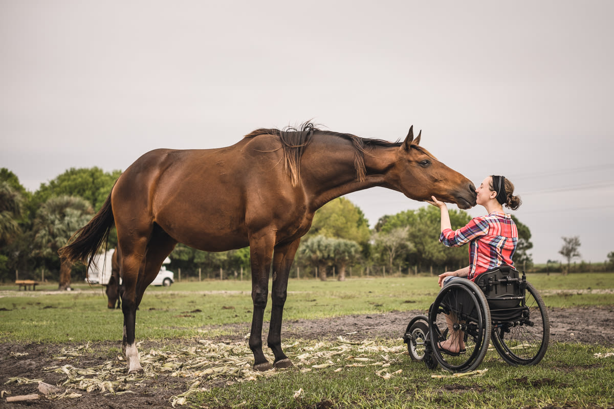 All the broodmares are so friendly 